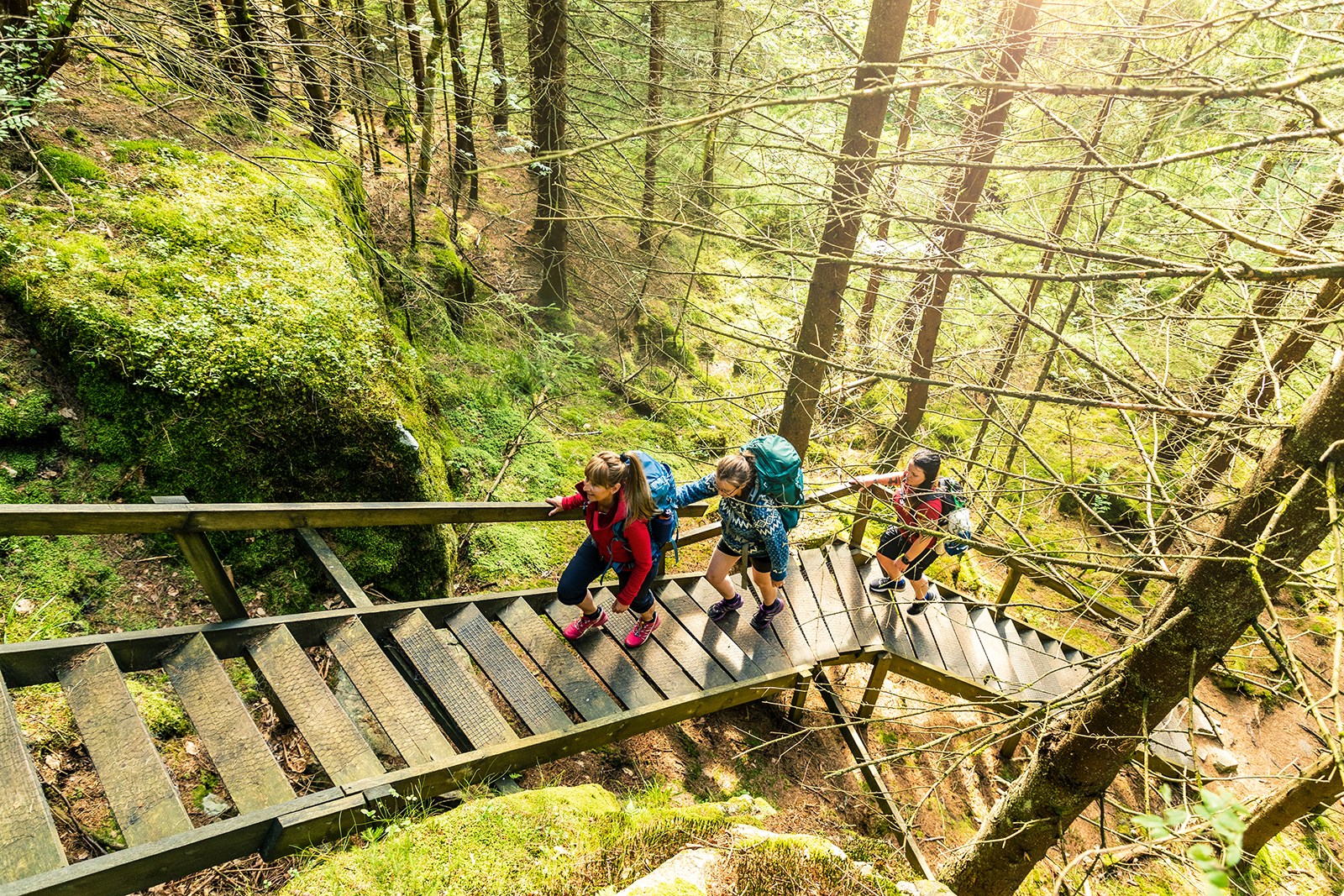 Drei Wanderer, die eine Holztreppe im Grünen hinaufgehen, auf dem Bohusleden-Trail in Svartedalen.