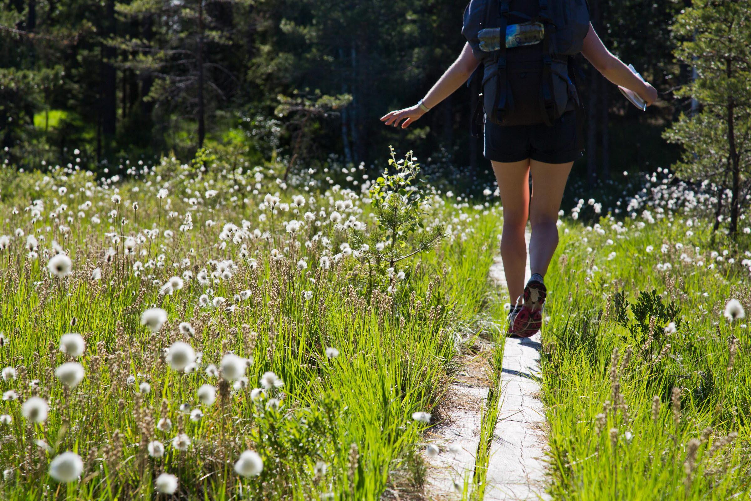 Bohusleden in West-Zweden