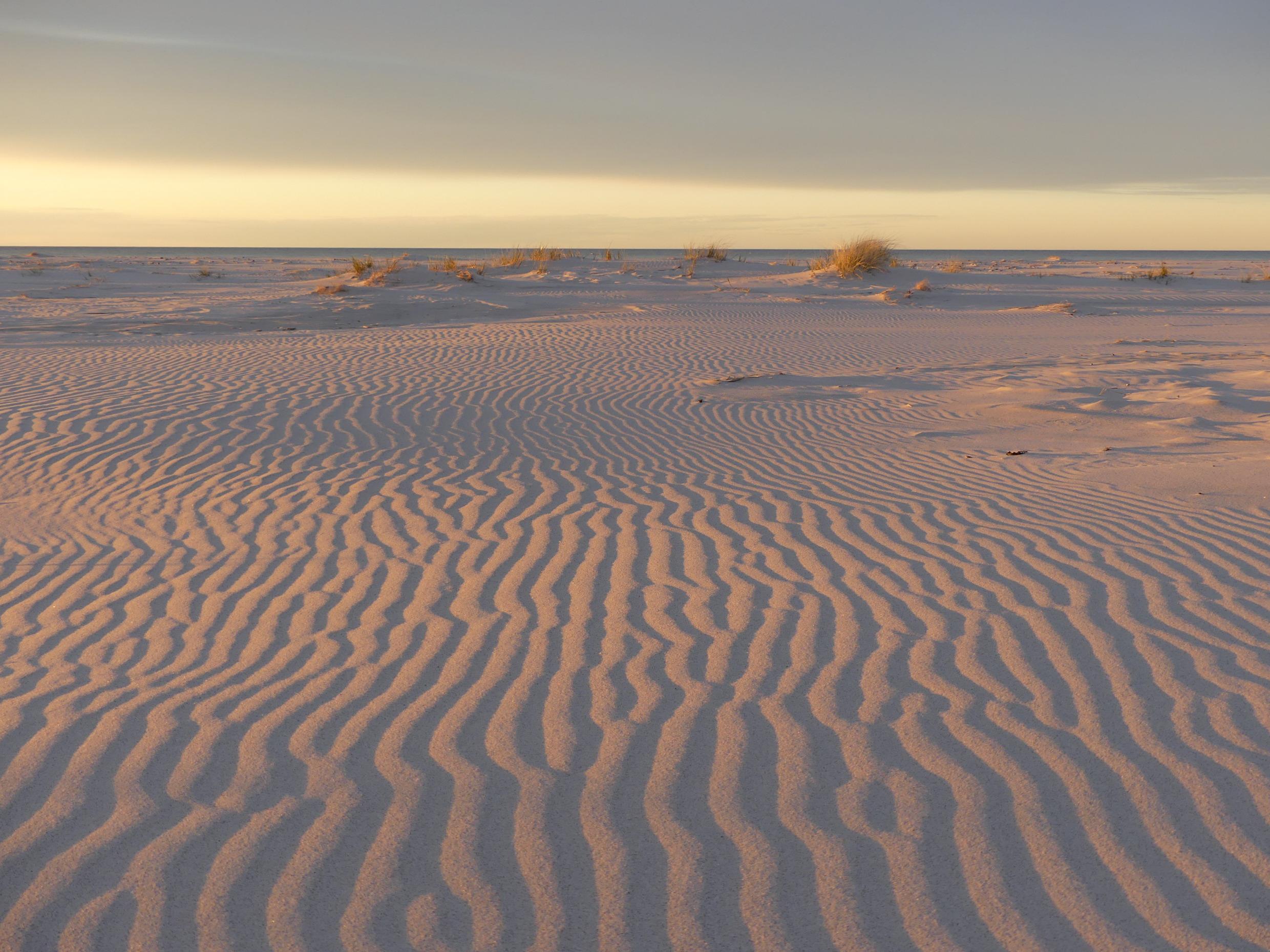 Une grande plage de sable avec au loin, quelques touffes d'herbe.