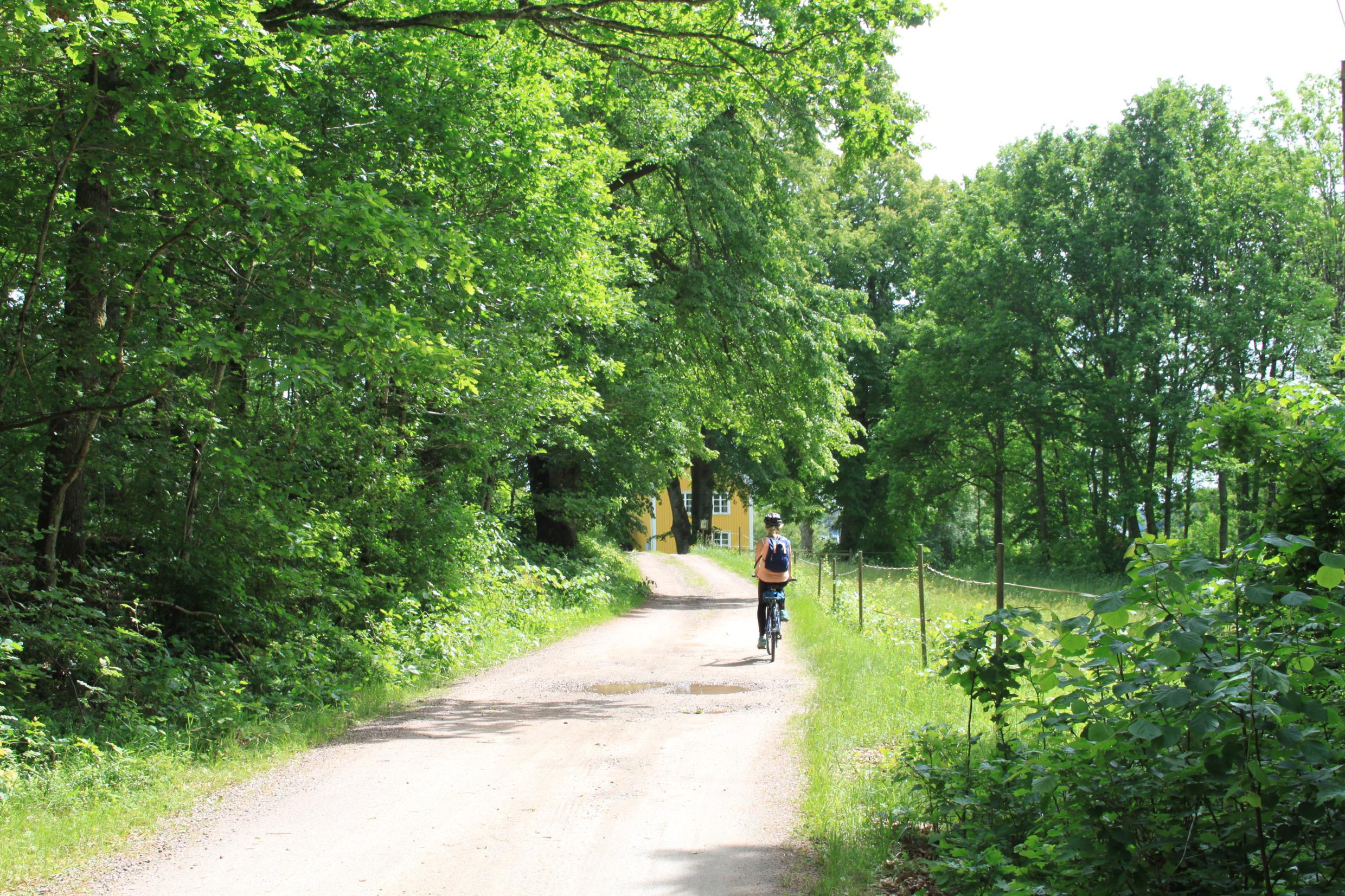 Eine Person fährt entlang eines Radweges in einem Wald. Ein gelbes Haus ist durch die Baumkronen zu erspähen.
