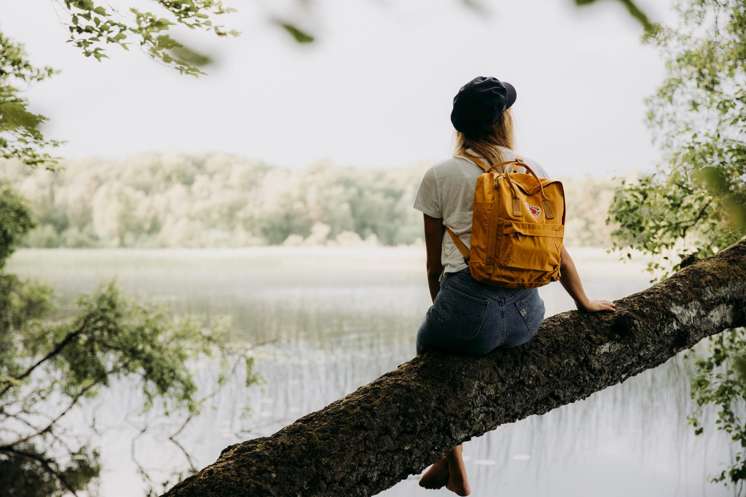 Women sitting in a tree overlooking the lake in Åsnen nationalpark.