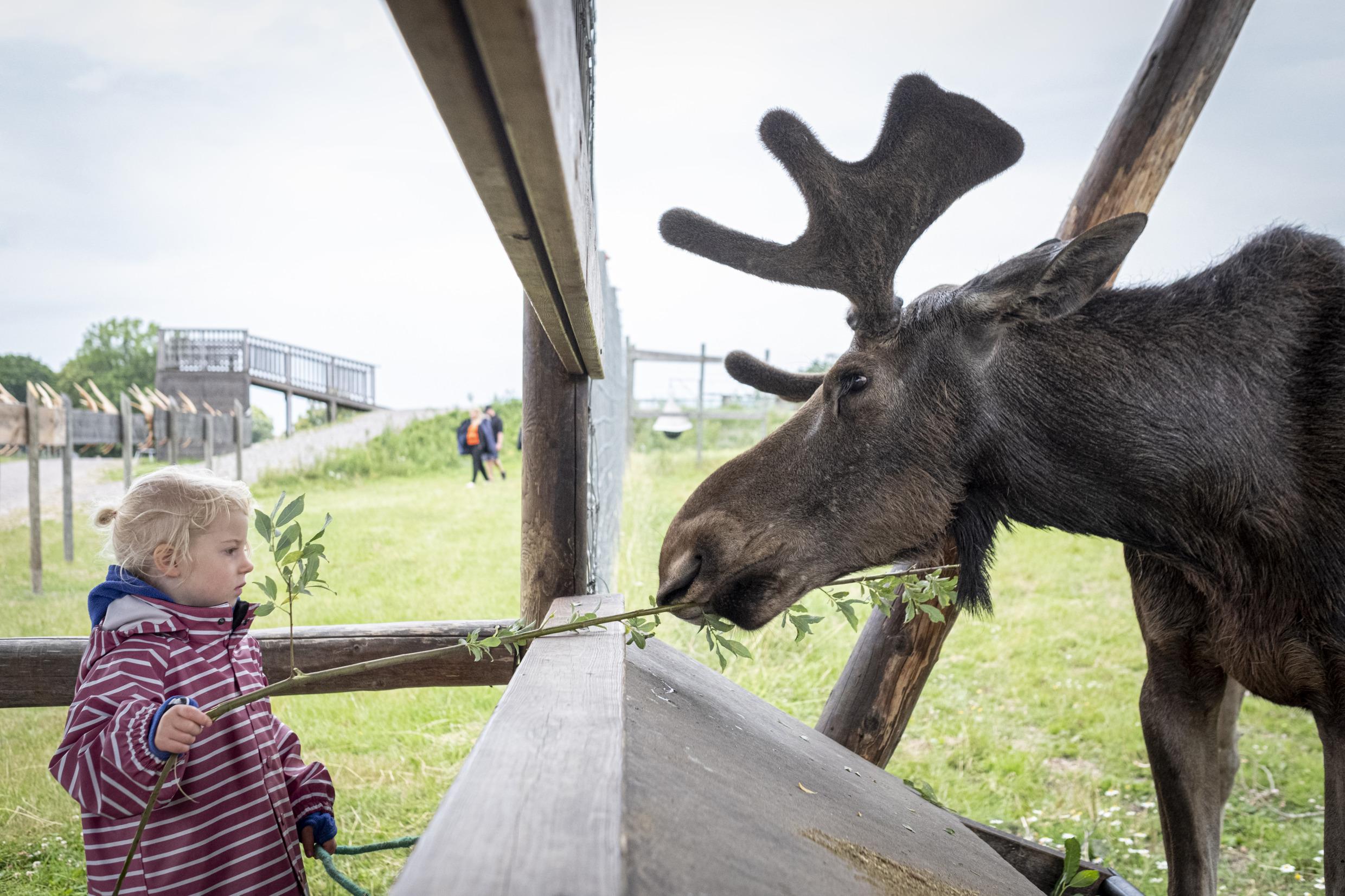 Öster Malma Wildlife Park