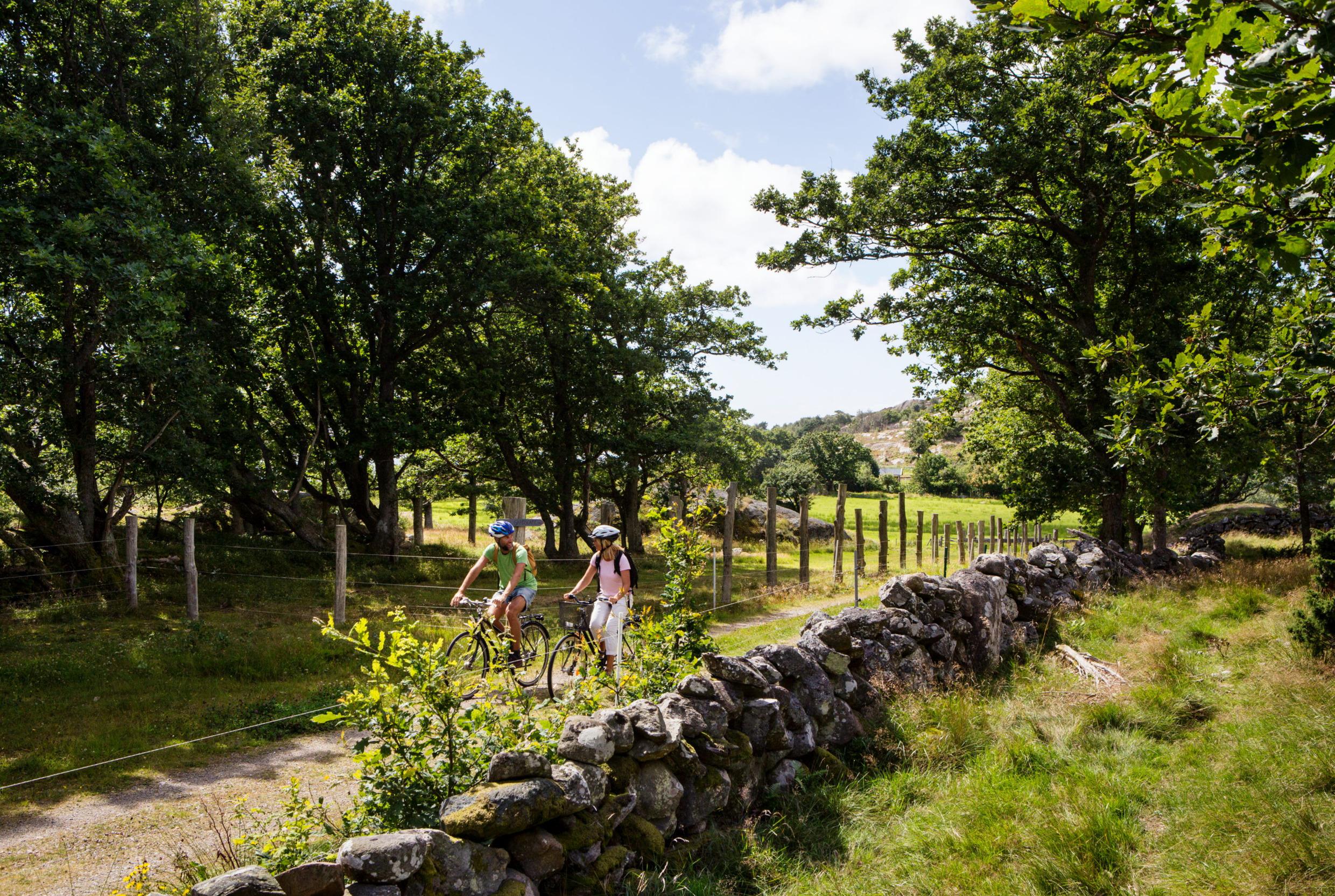 Twee mensen fietsen in een landelijk landschap tijdens een zomerdag.