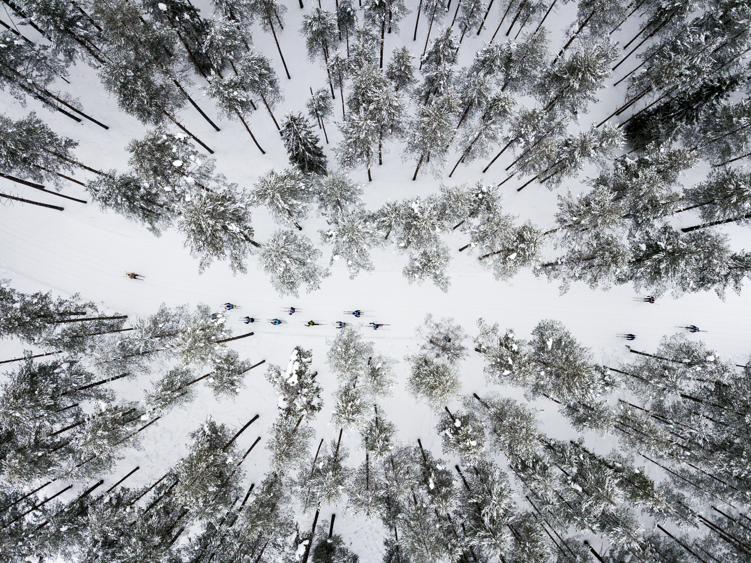 Drohnenbild von Skilangläufern, die am Vasalauf zwischen Sälen und Mora teilnehmen, umgeben von Wald.