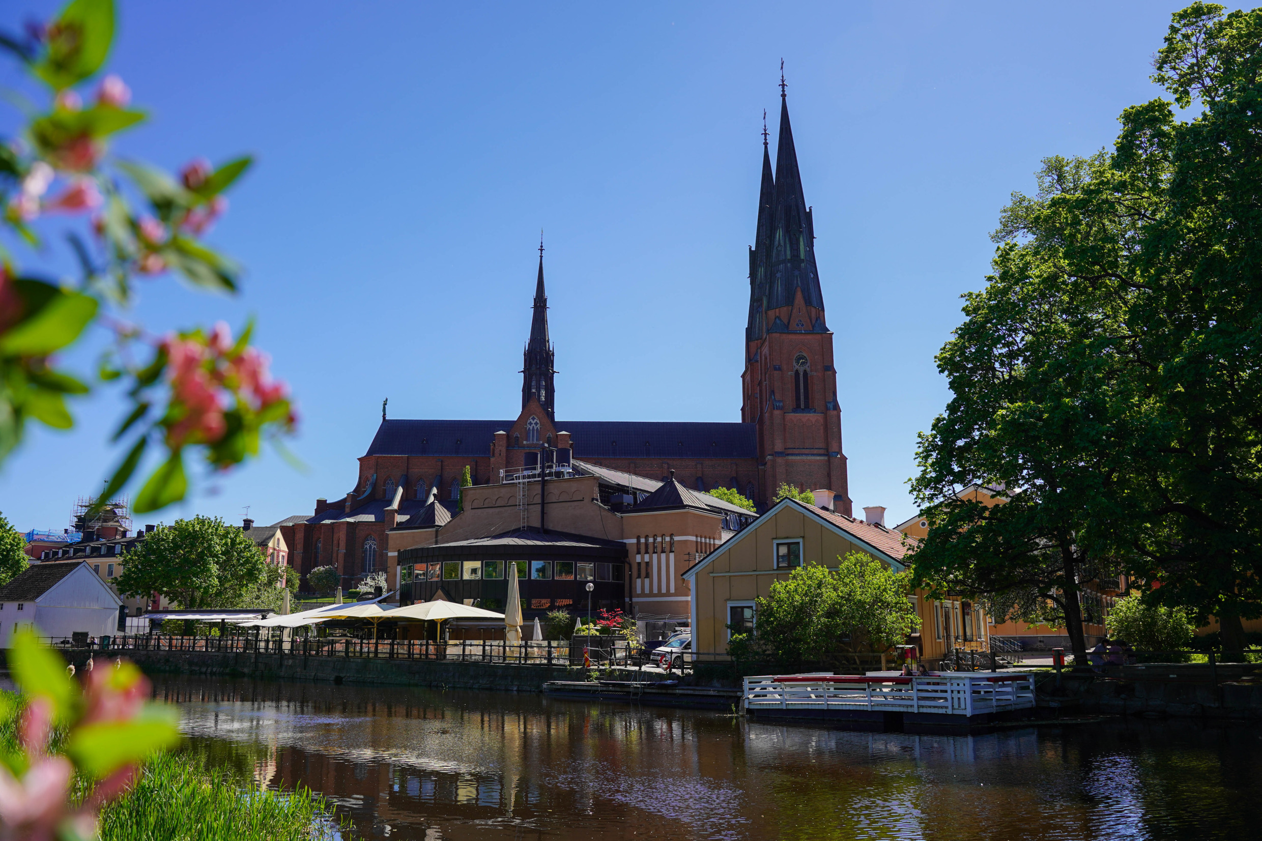 Landscape view of the Uppsala Cathedral. Sorrounded by spring blooming and waterfront.