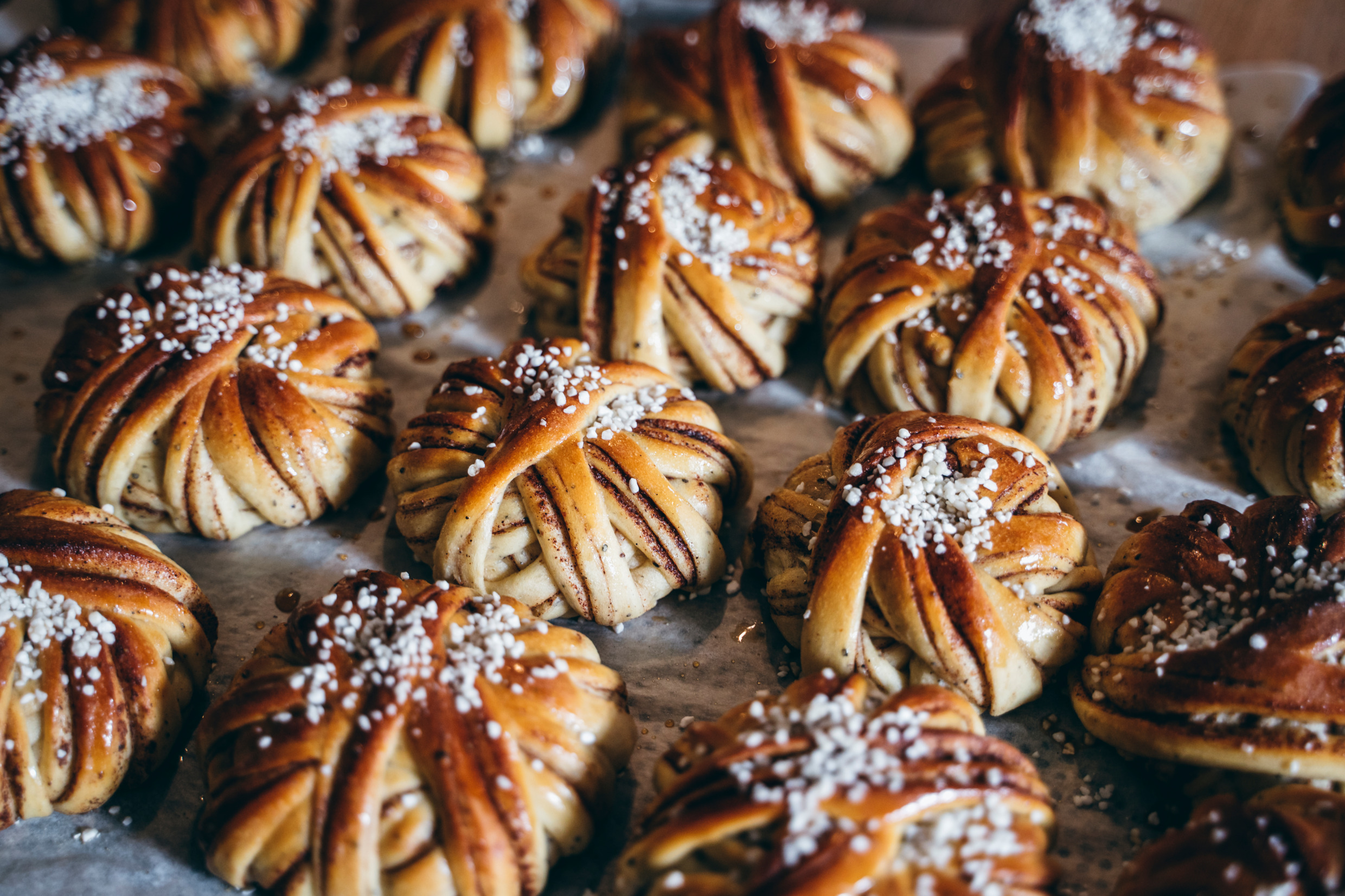 A tray filled with fresh cinnamon buns.