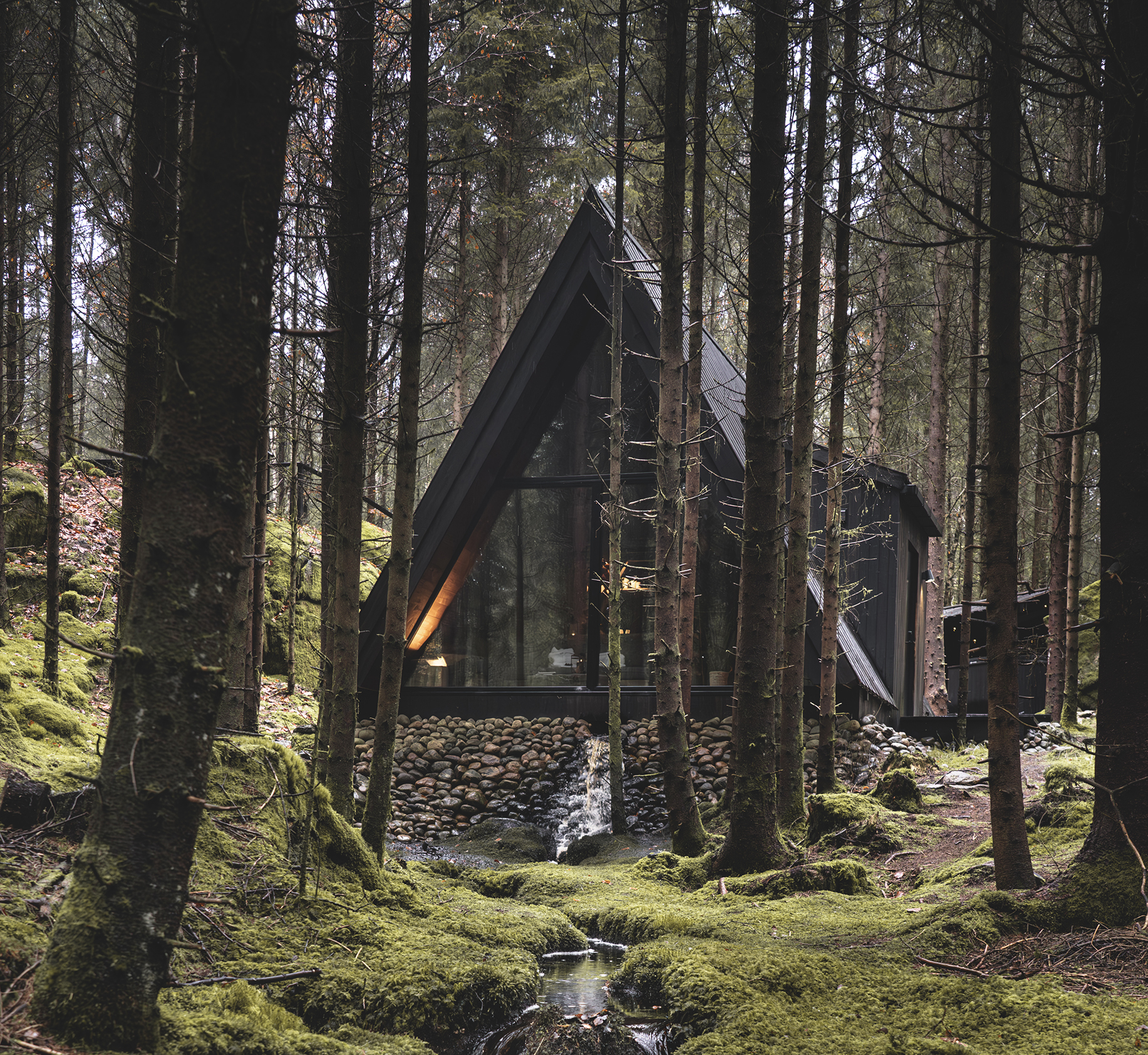 A black cabin in a forest with large windows, set next to a small stream flowing through moss-covered ground.