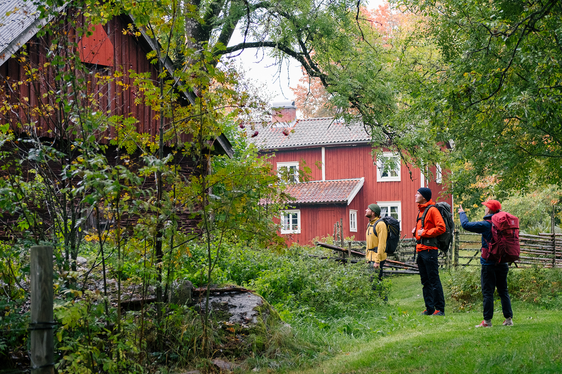 Drei Wanderer stehen inmitten einer grünen Landschaft am Emigrant Trail in Småland vor roten Holzhäusern.