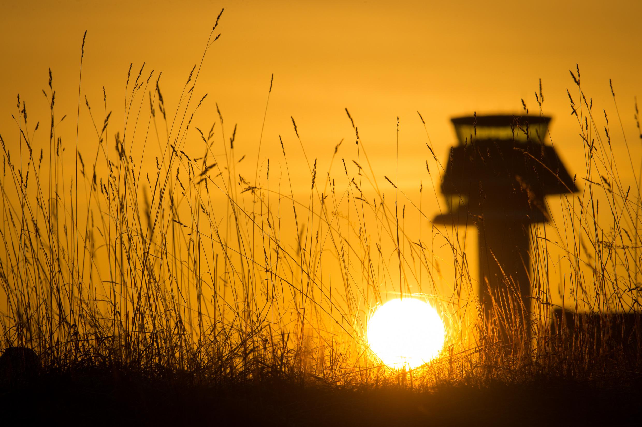 The sun is rising at Arlanda Airport.