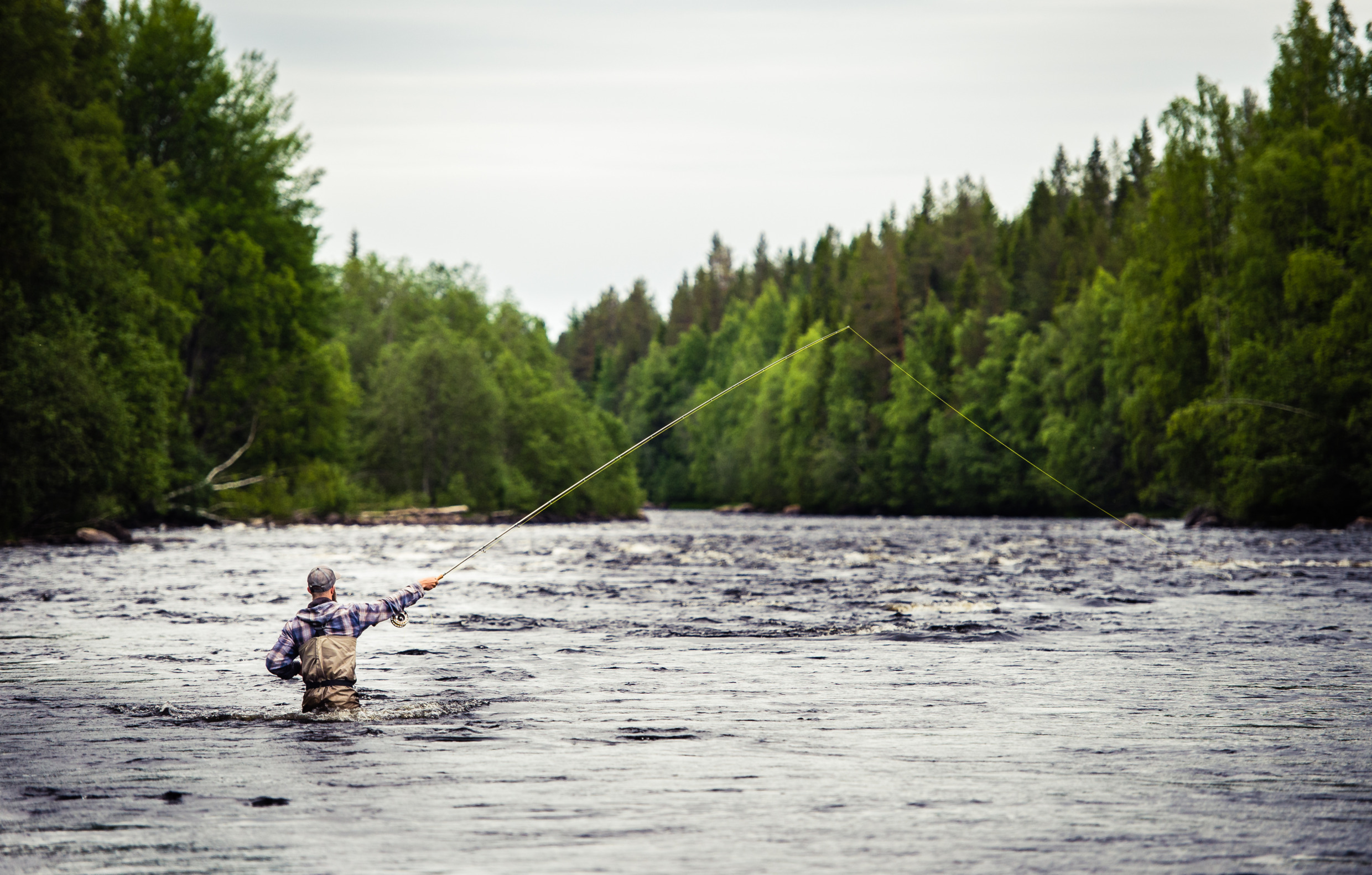 Salmon fishing in northern Sweden