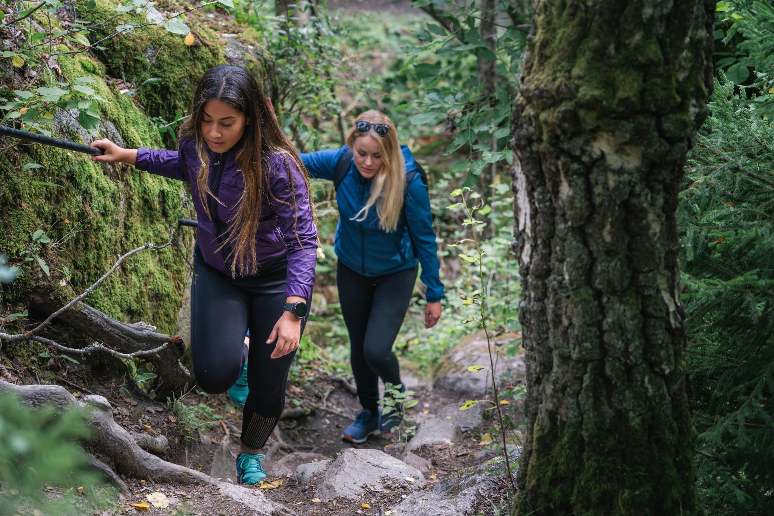 Randonnée le long des sentiers de Linnaeus, Uppsala