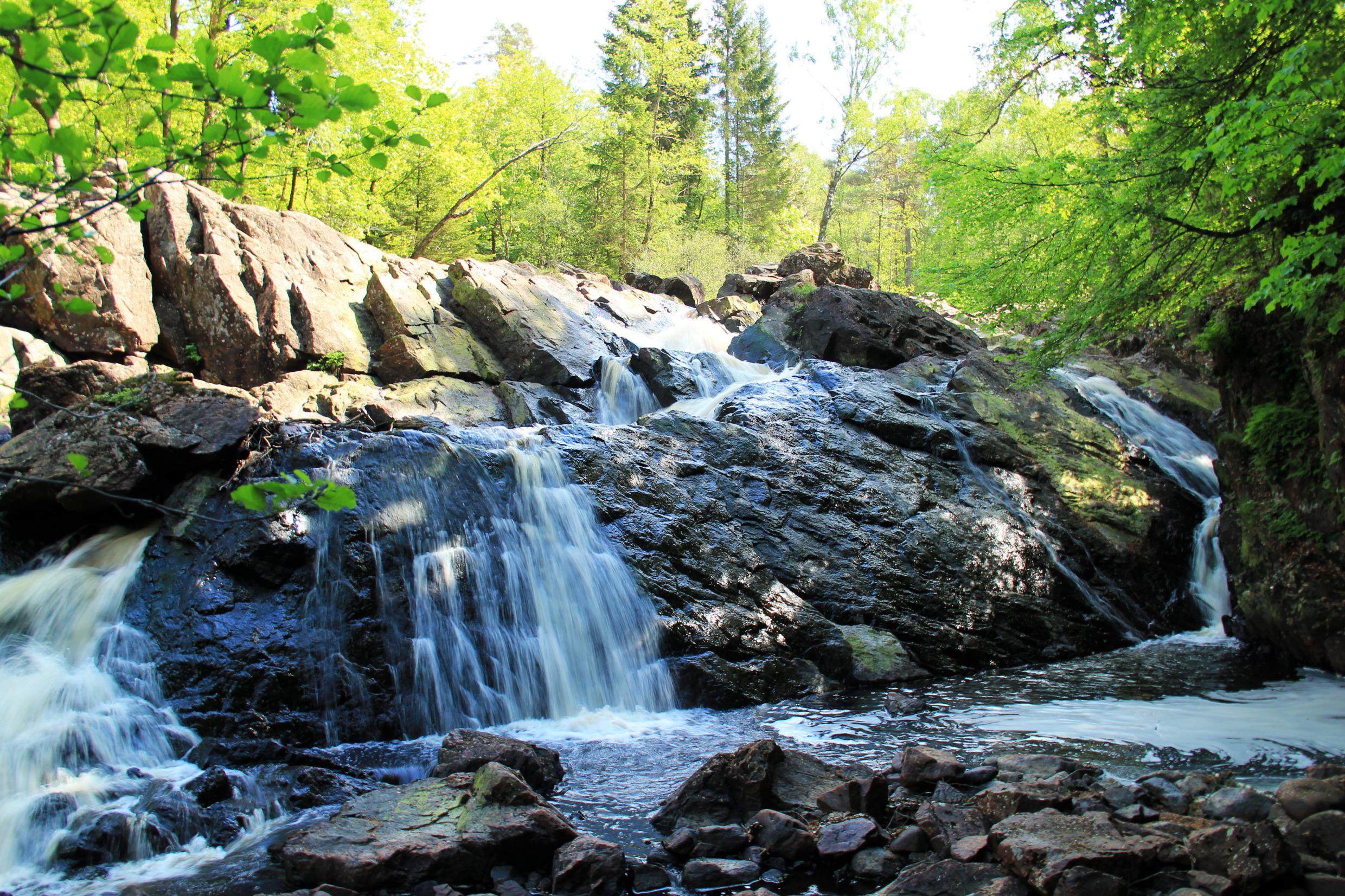 Bomen rond een waterval.