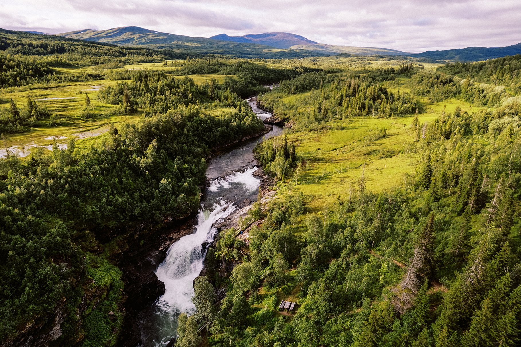 Luchtfoto van de Gaustafallet-waterval die door een groen, bebost landschap bij Stora Blåsjön stroomt.