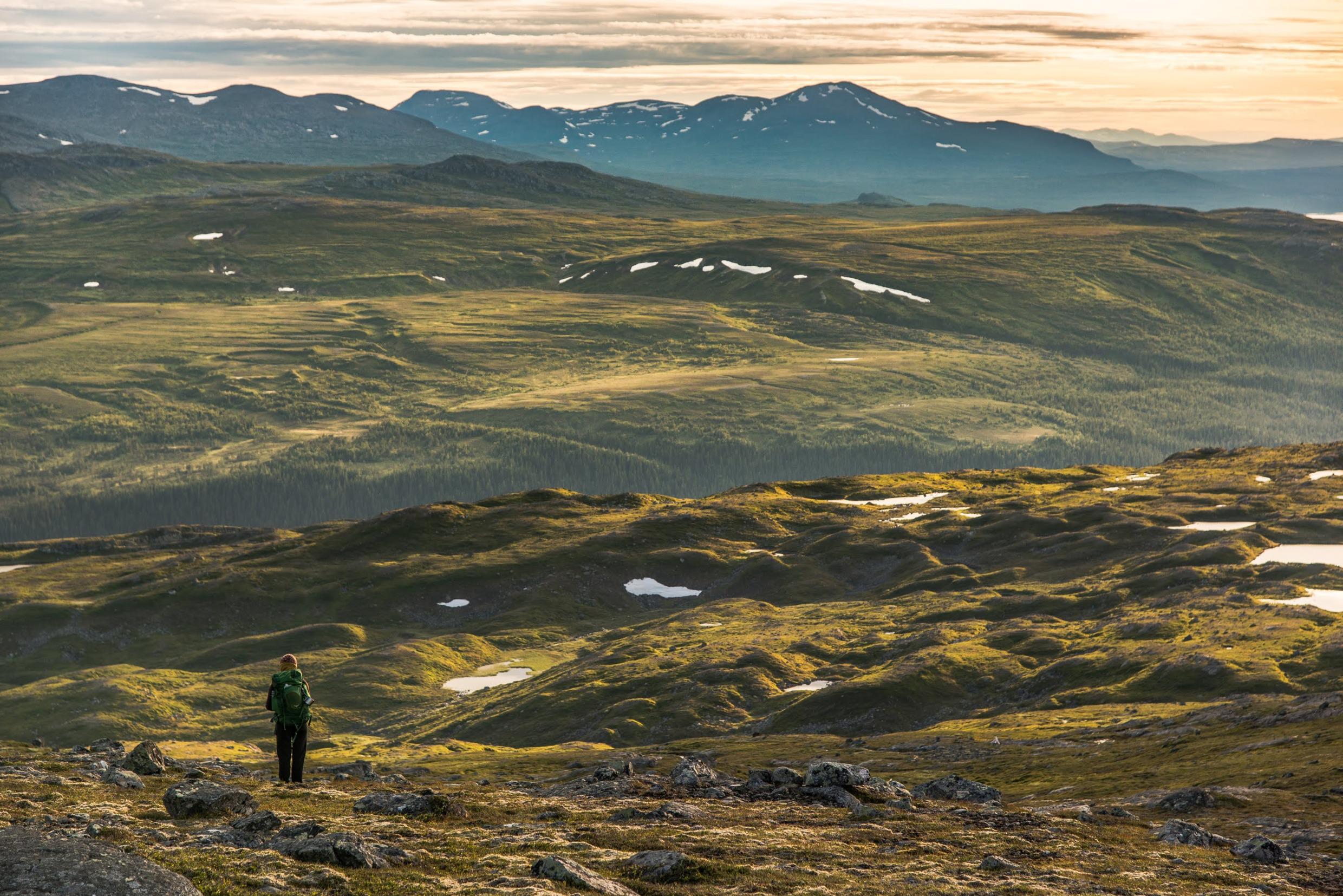 Een persoon wandelt in de zomer door een landschap.