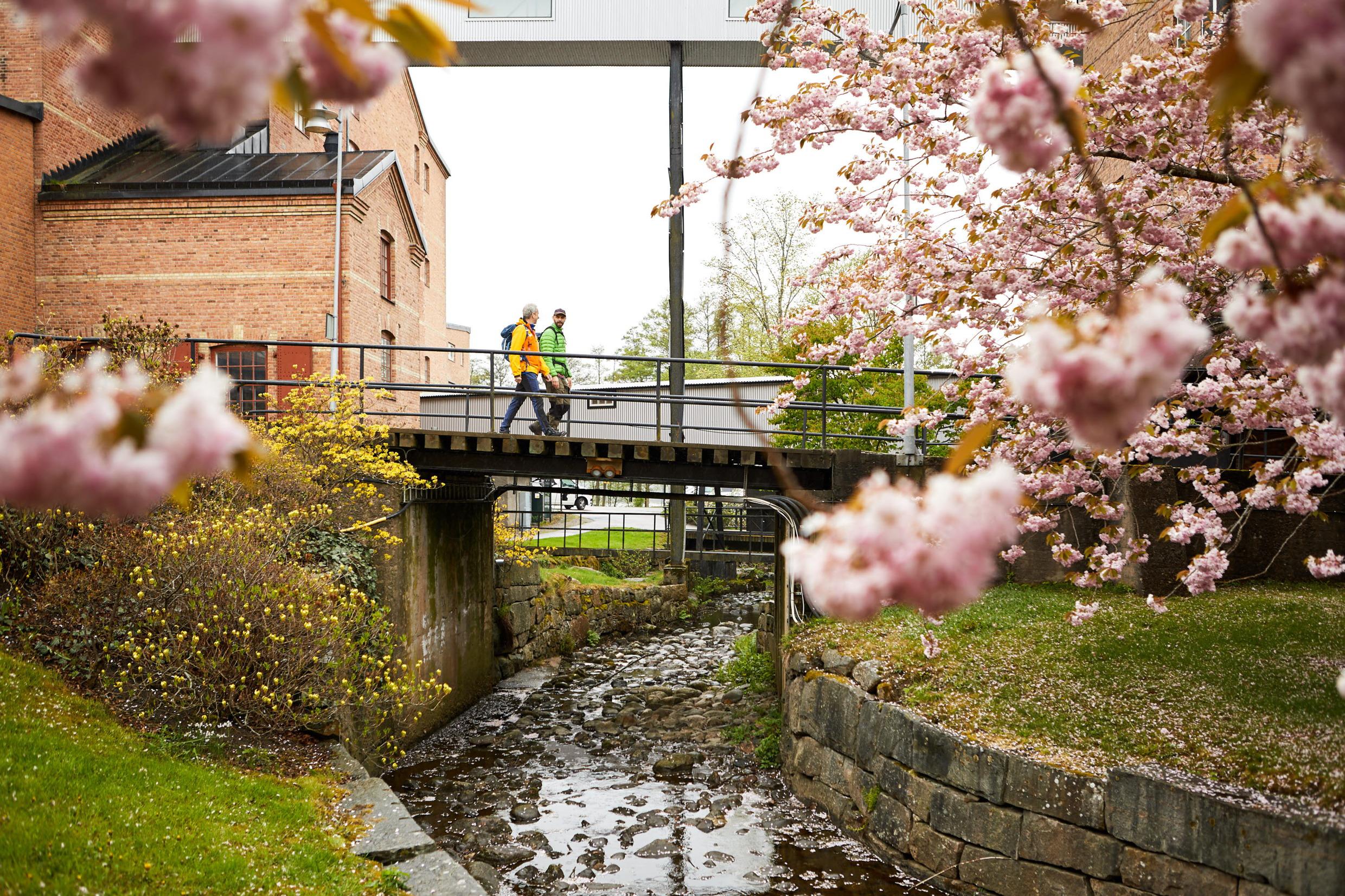 Le sentier Gota, Ouest de la Suède