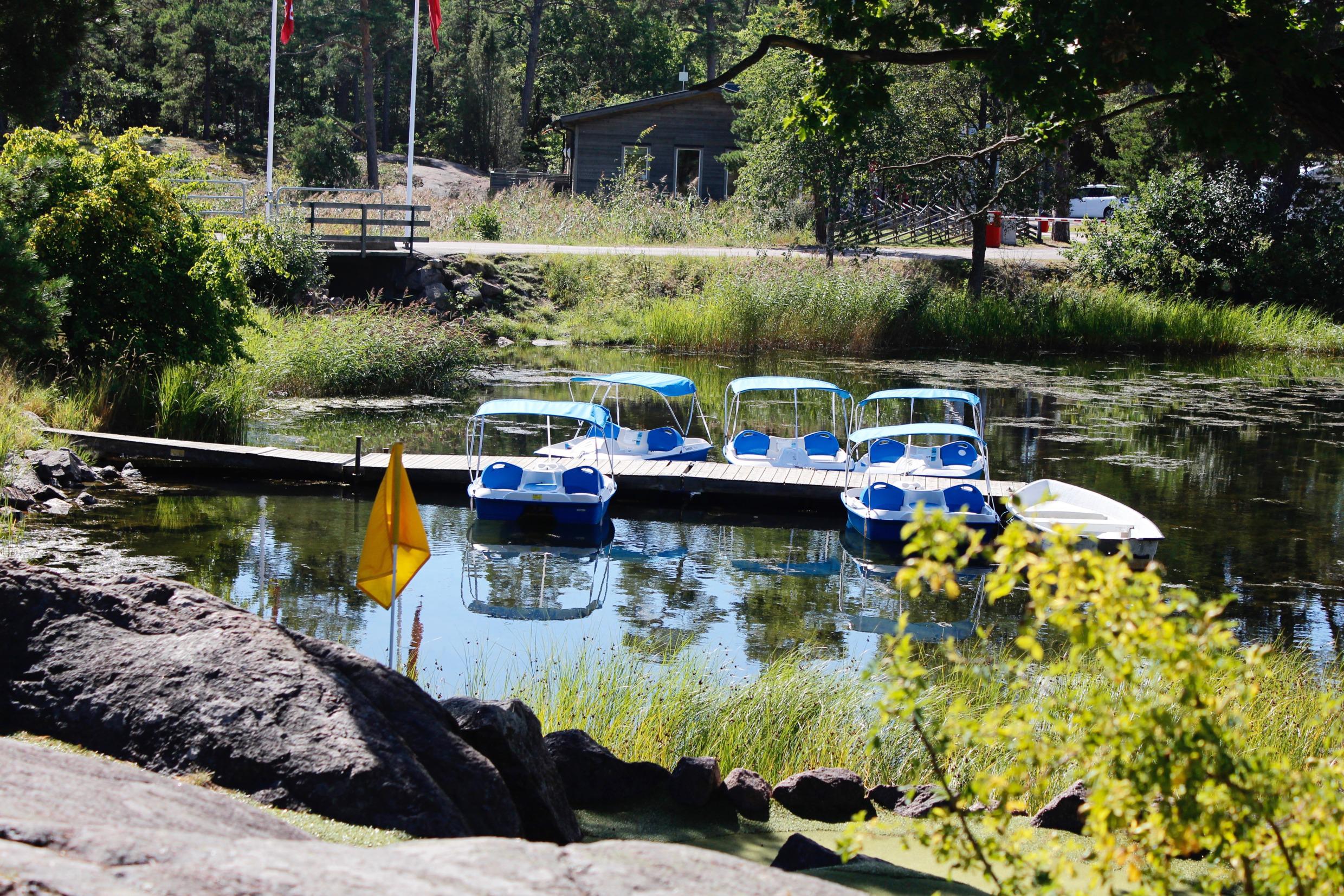 Een paar waterfietsen in het water naast een houten steiger in de zomer.