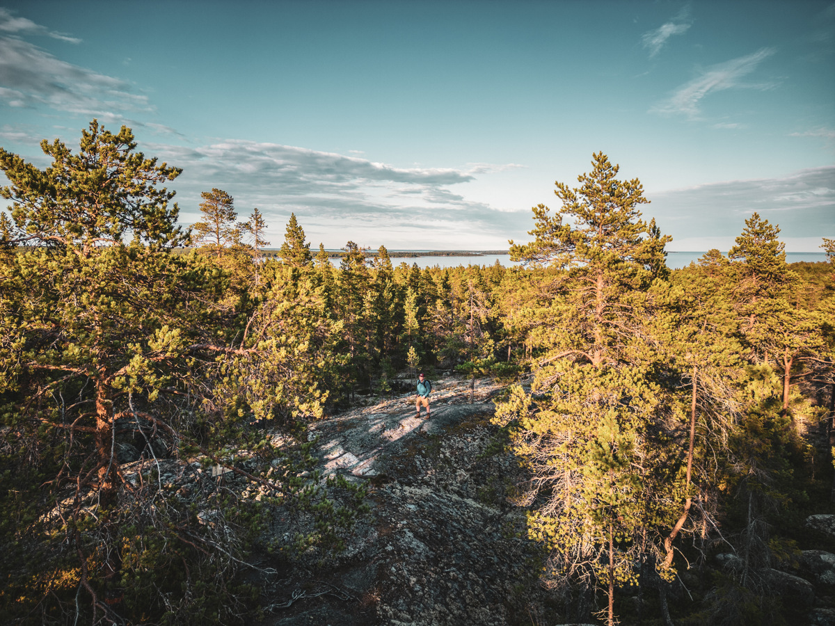 A hiker walking along a rocky ridge surrounded by pine forest, with views of water in the distance along the Solander Trail in northern Sweden.