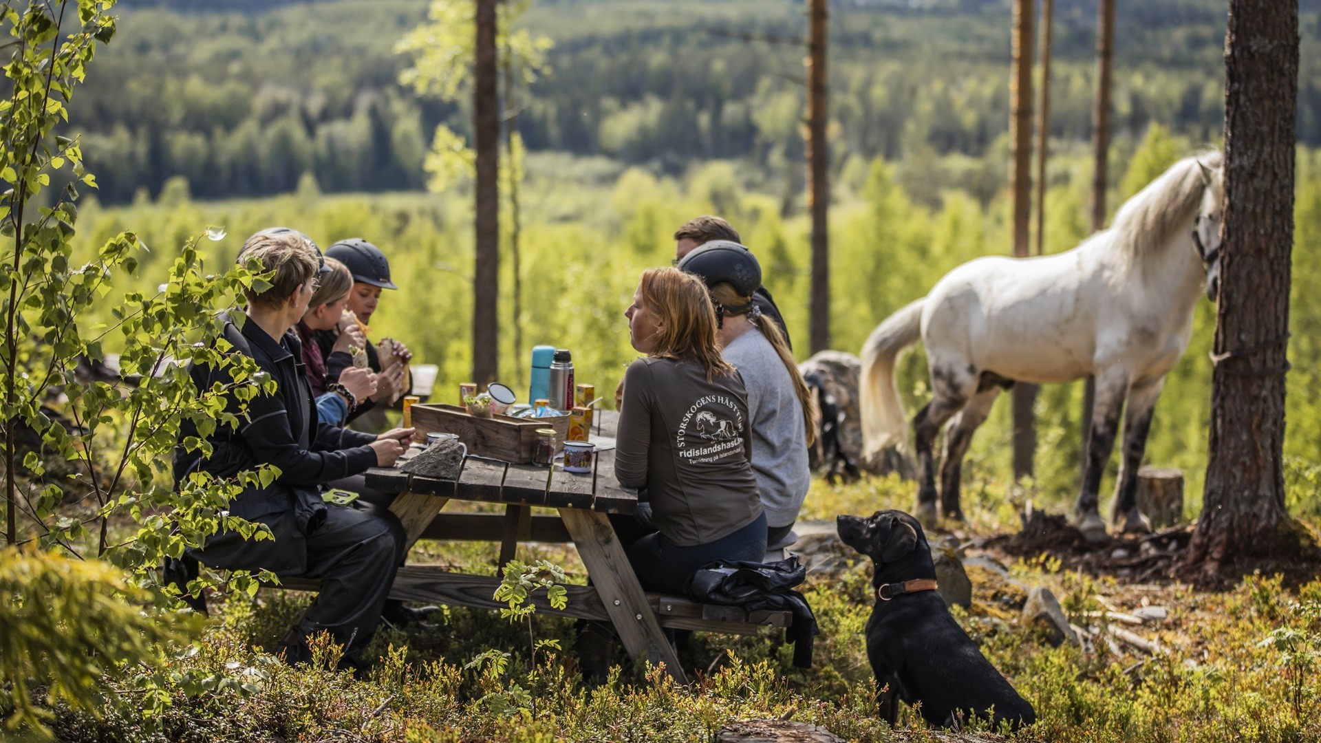 Group having a picnic in the forest with a white Icelandic horse and black dog nearby.
