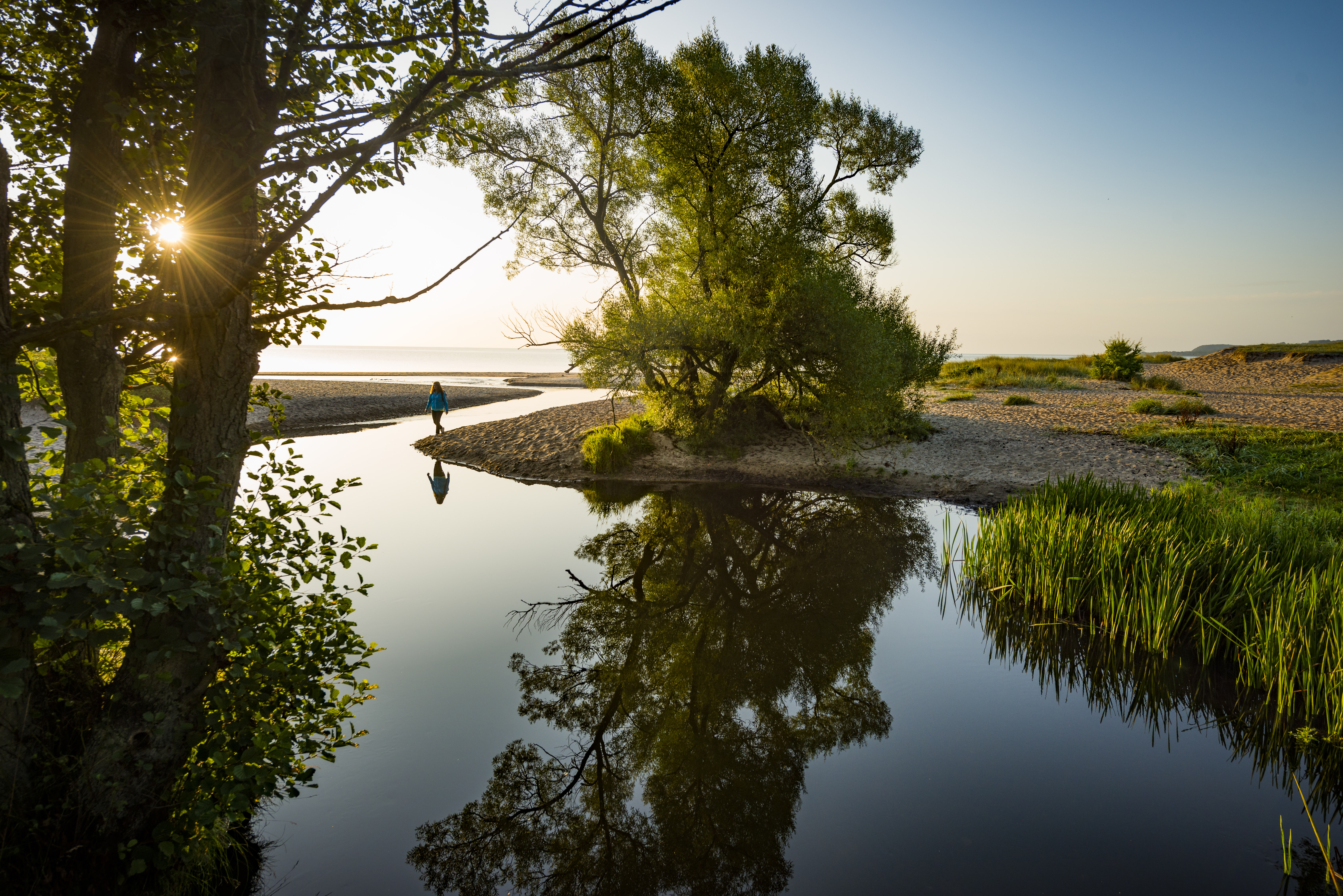 Iemand die langs een beekje loopt dat richting zee stroomt bij Haväng, met zandduinen, lommerrijke bomen en riet dat weerspiegeld wordt in het stille water.