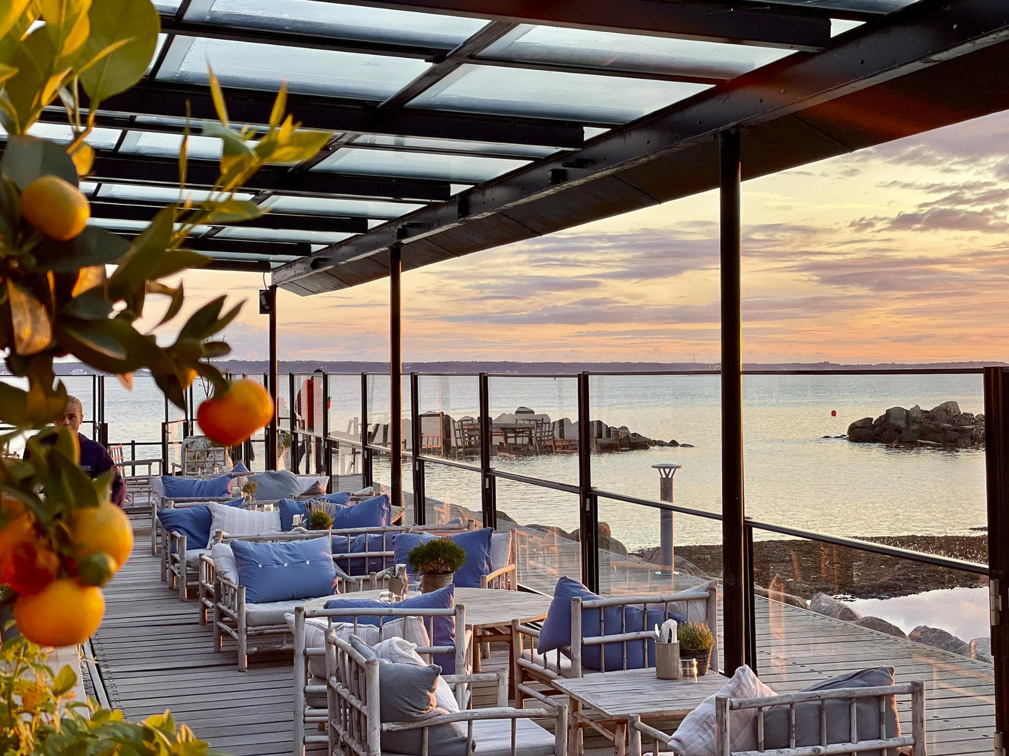 Outdoor terrace with lounge seating with a citrus tree in the foreground and views of the Öresund Strait at Sillen & Makrillen in Helsingborg.