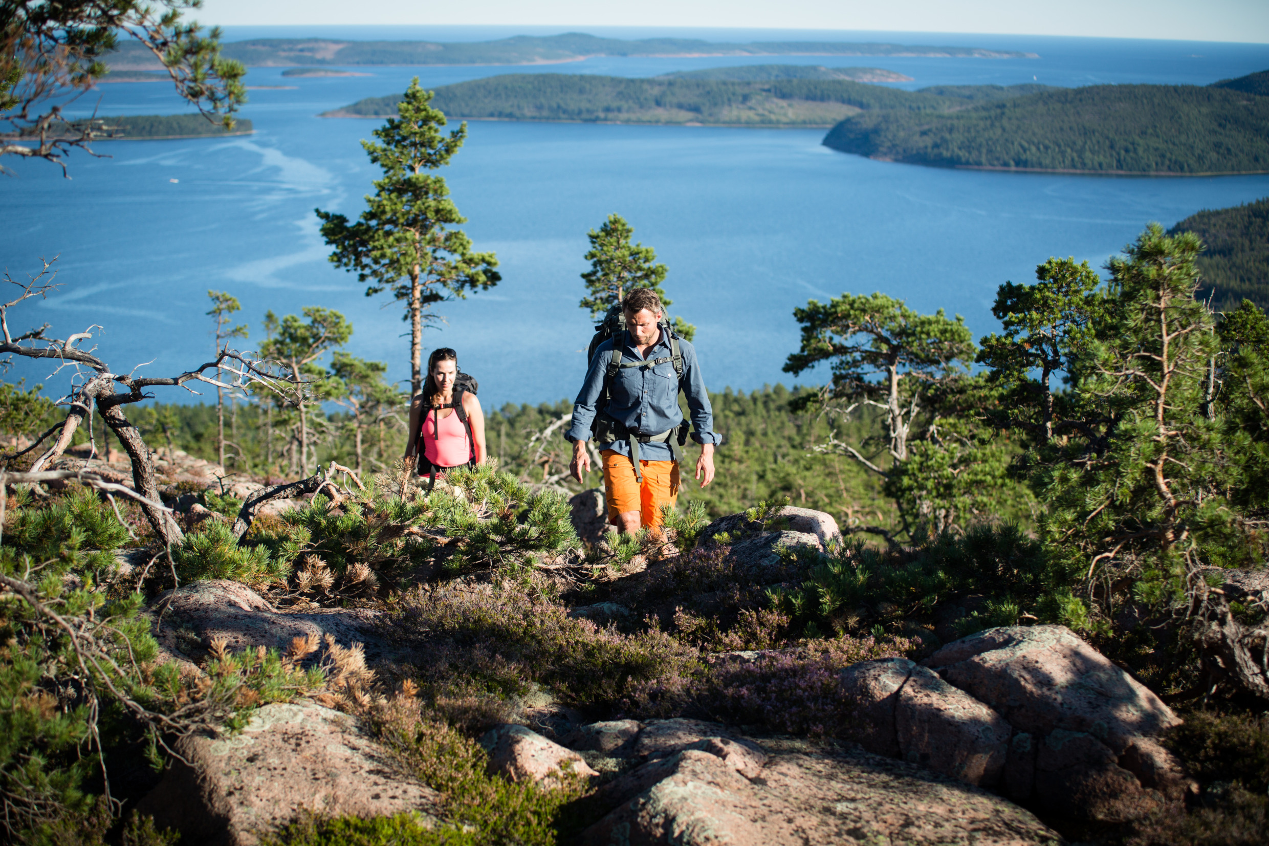 Two hikers walking uphill on a forest trail in the High Coast.