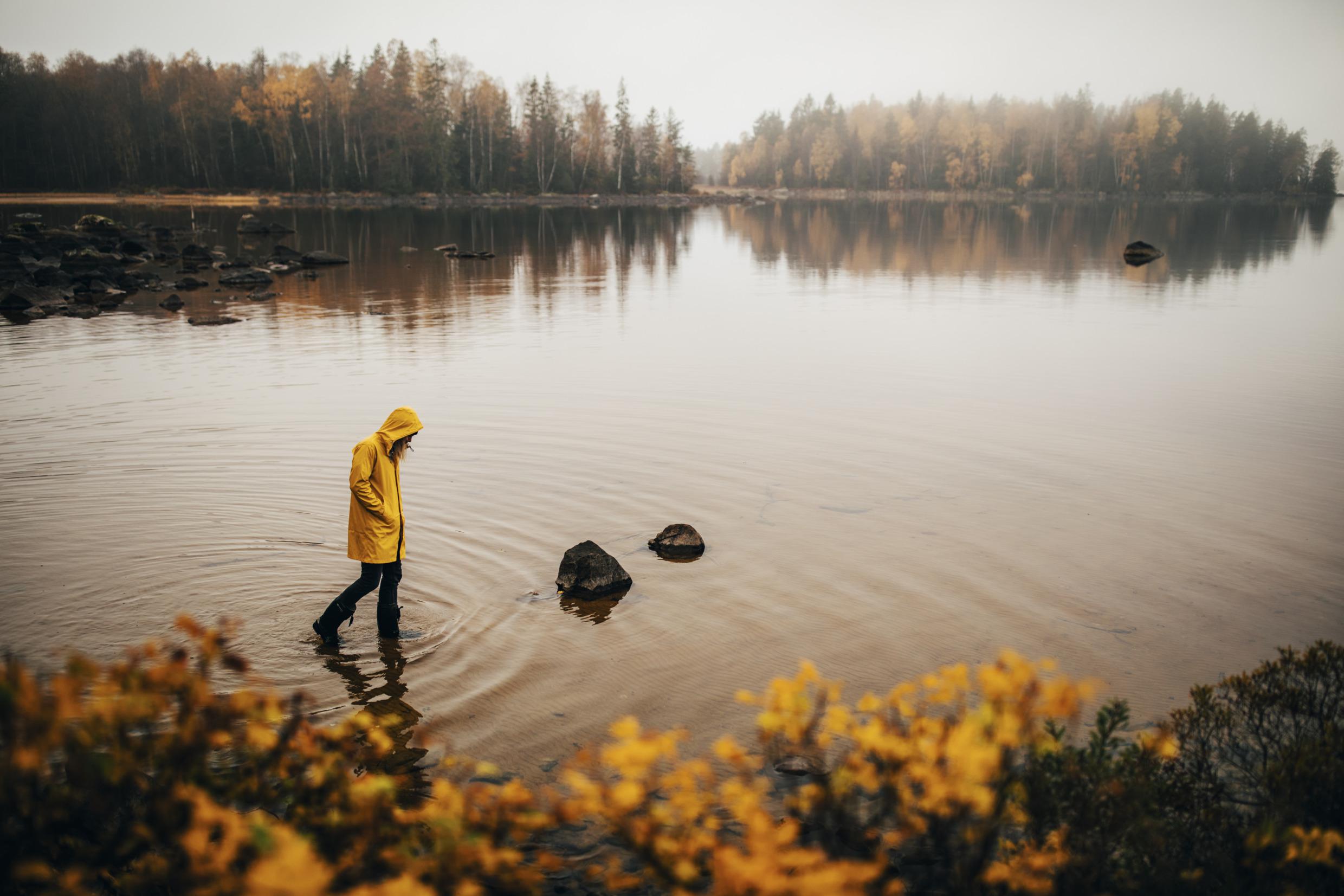 Une personne dans un imperméable jaune et avec des bottes en caoutchouc marche dans l'eau. Il y a des arbres aux feuilles jaunes au bord du lac.