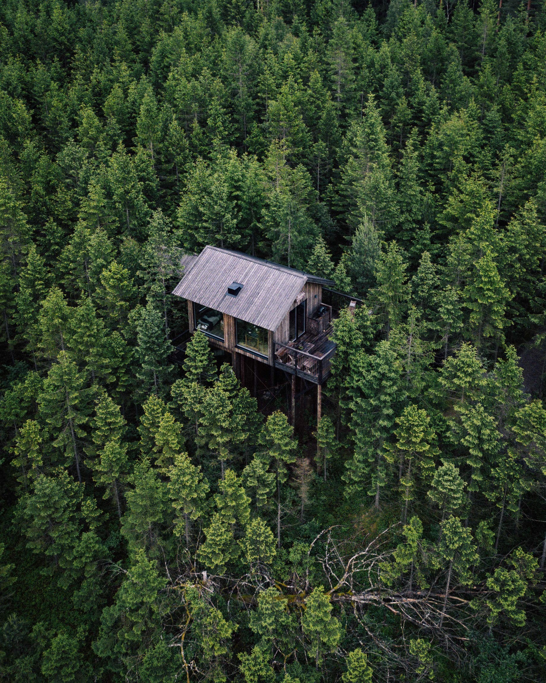 Une cabane en bois sur pilotis entourée d'une forêt dense au Hyssna Forest Resort, dans l'ouest de la Suède.