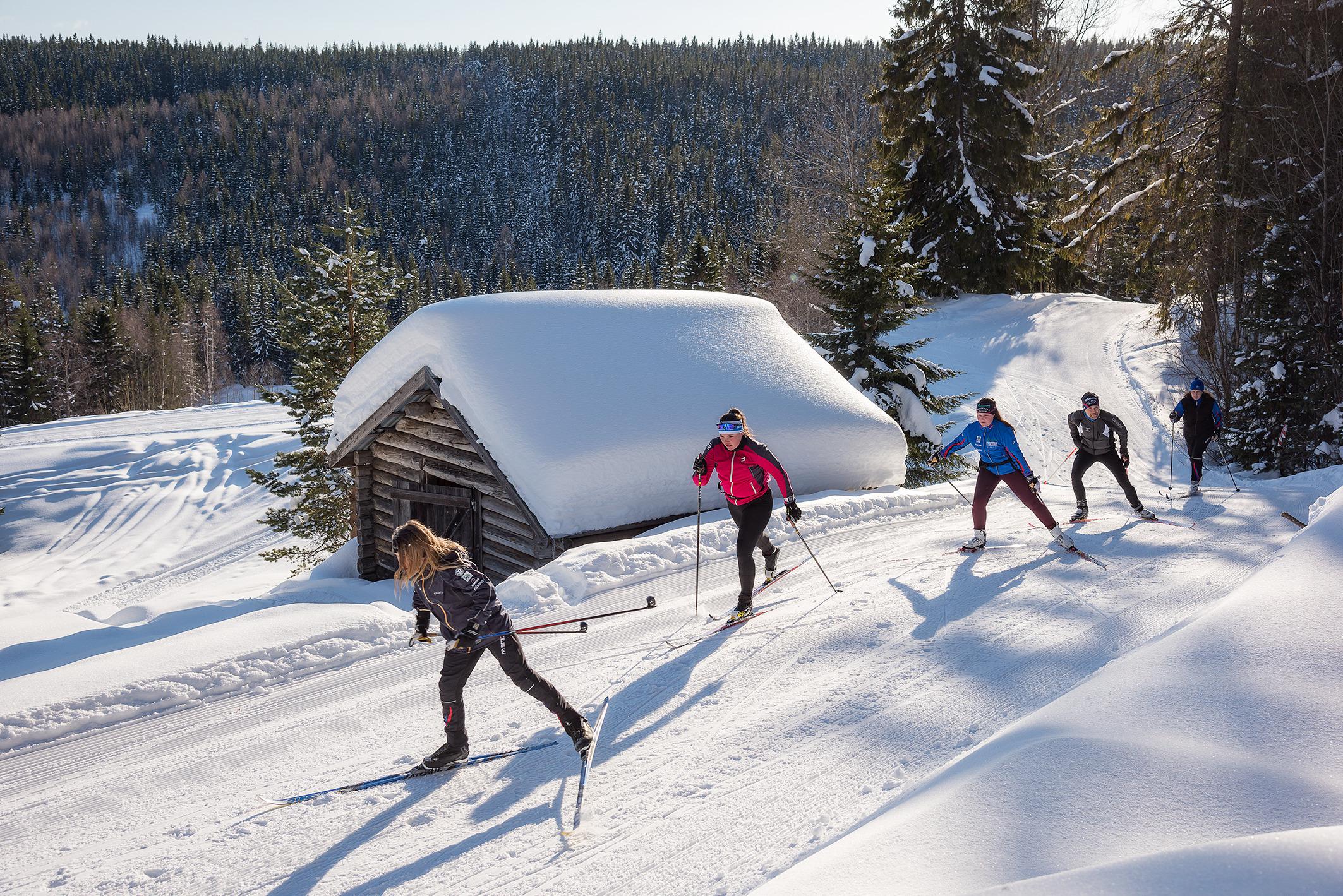 Faire du ski de fond sur la Haute Côte