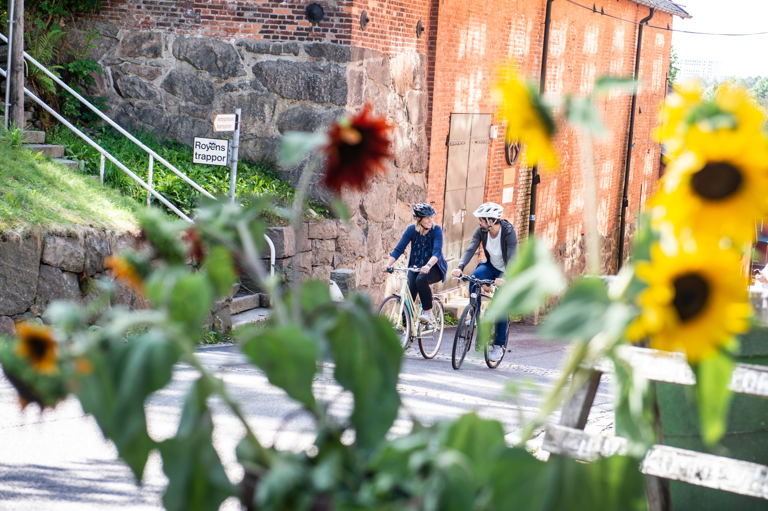 A man and woman wearing helmets, cycling side by side up a hill. Flowers in the foreground.