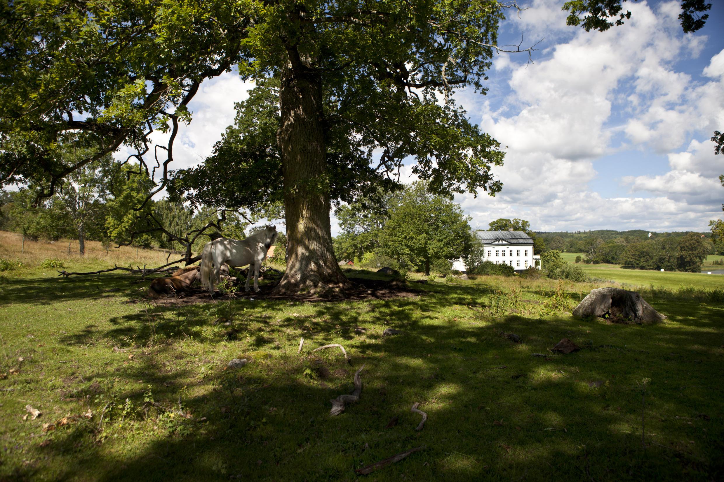 Wallby Säteri, Småland
