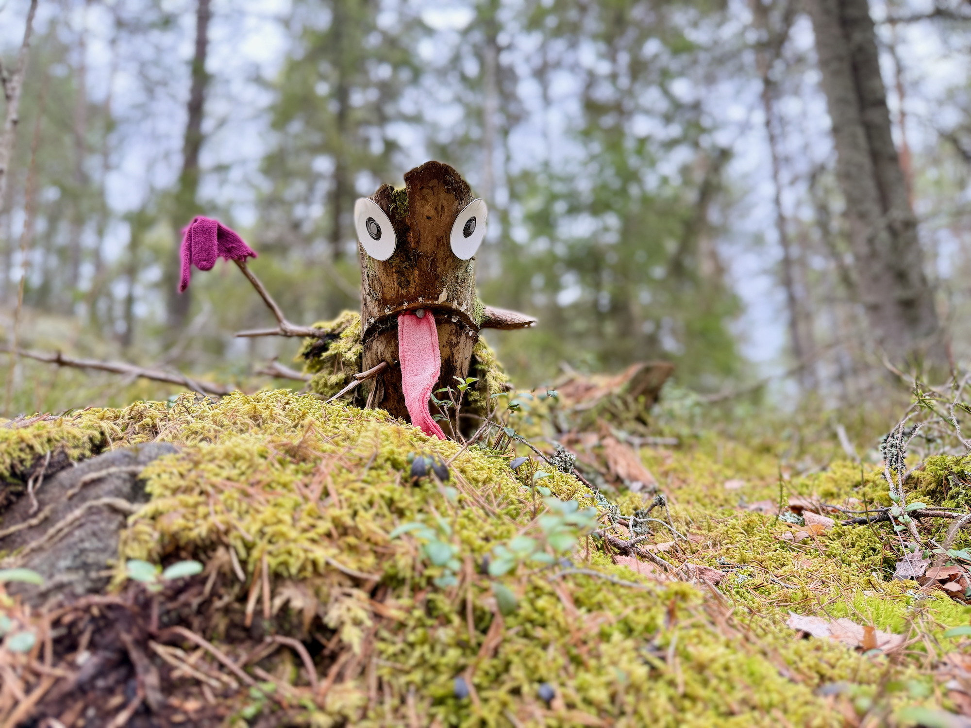 Nahaufnahme einer verspielten Monsterfigur aus einem Baumstumpf am Waldweg Monsterstigen in Sorunda, Schweden.