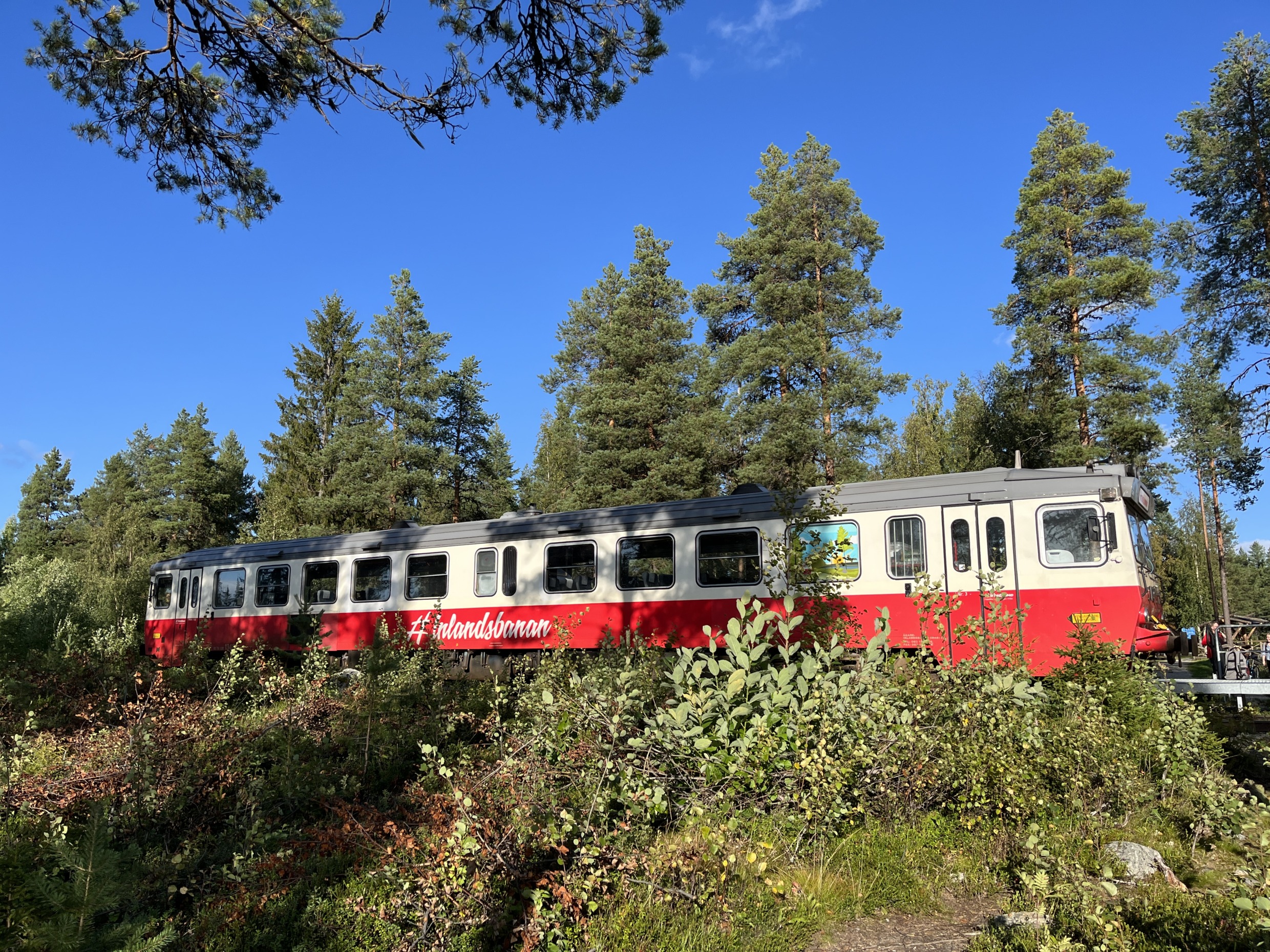 A red and white train standing still on a railway in the forest under a clear blue sky.