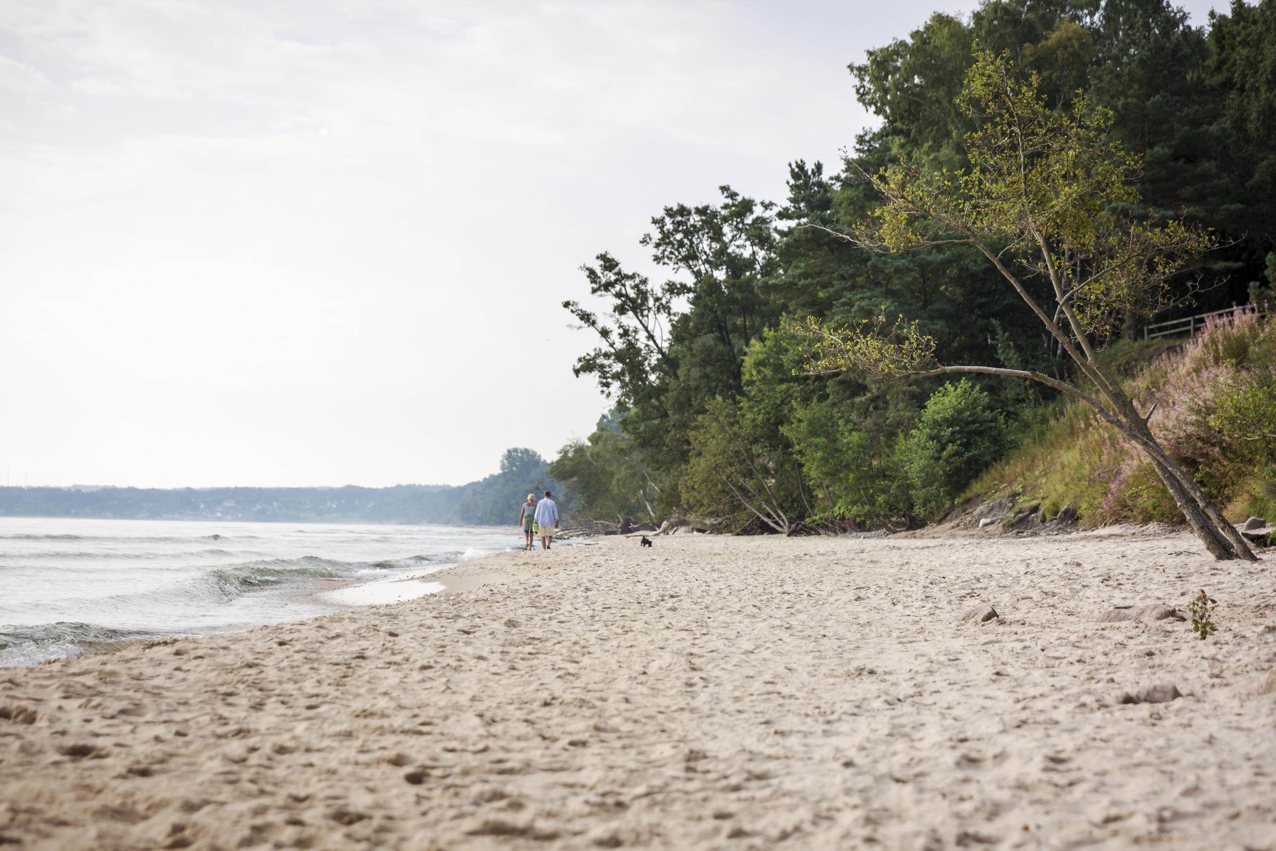 Een zandstrand met weelderig groen eromheen. In de verte loopt een stel.