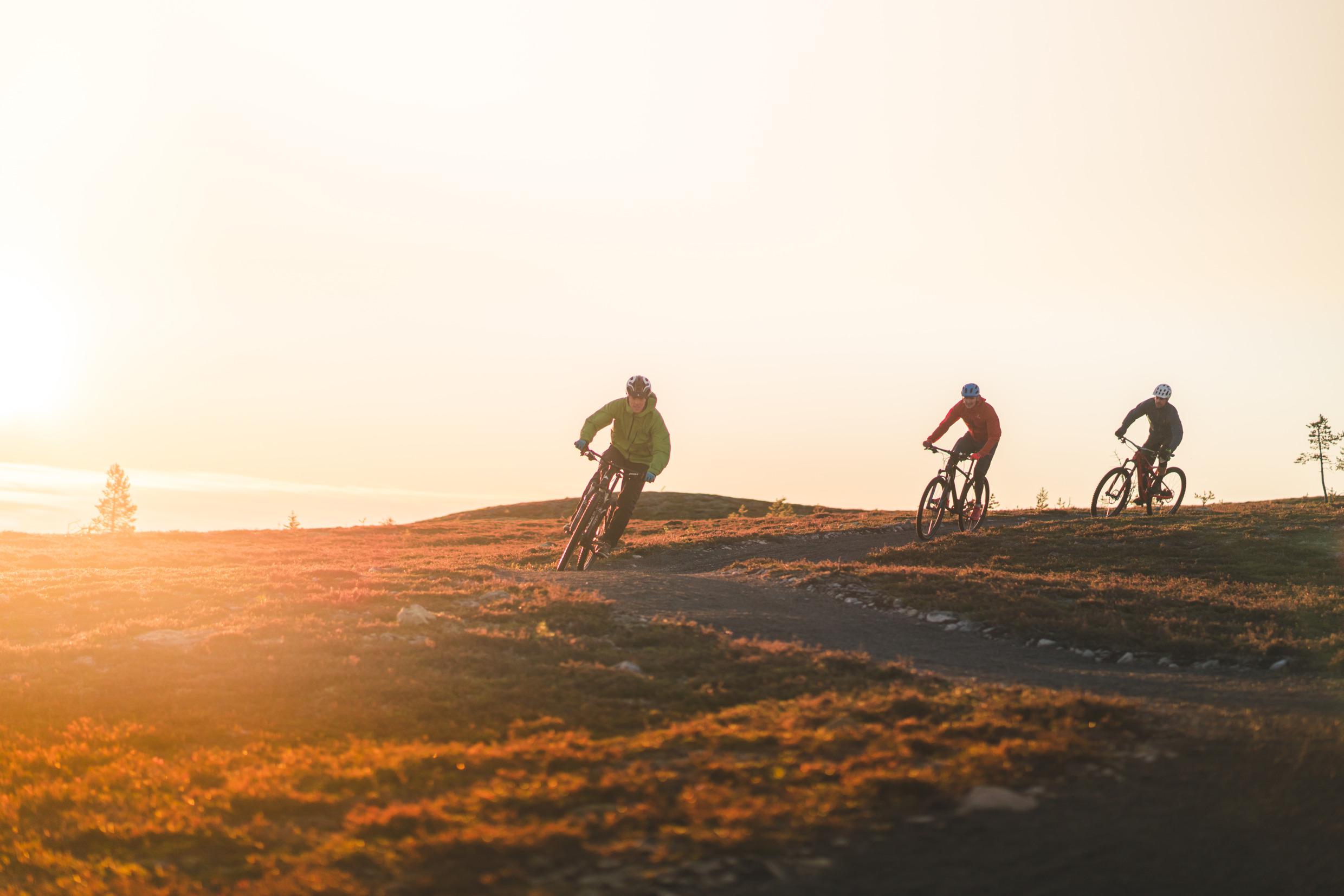 People mountain biking in the sunset in Idre.