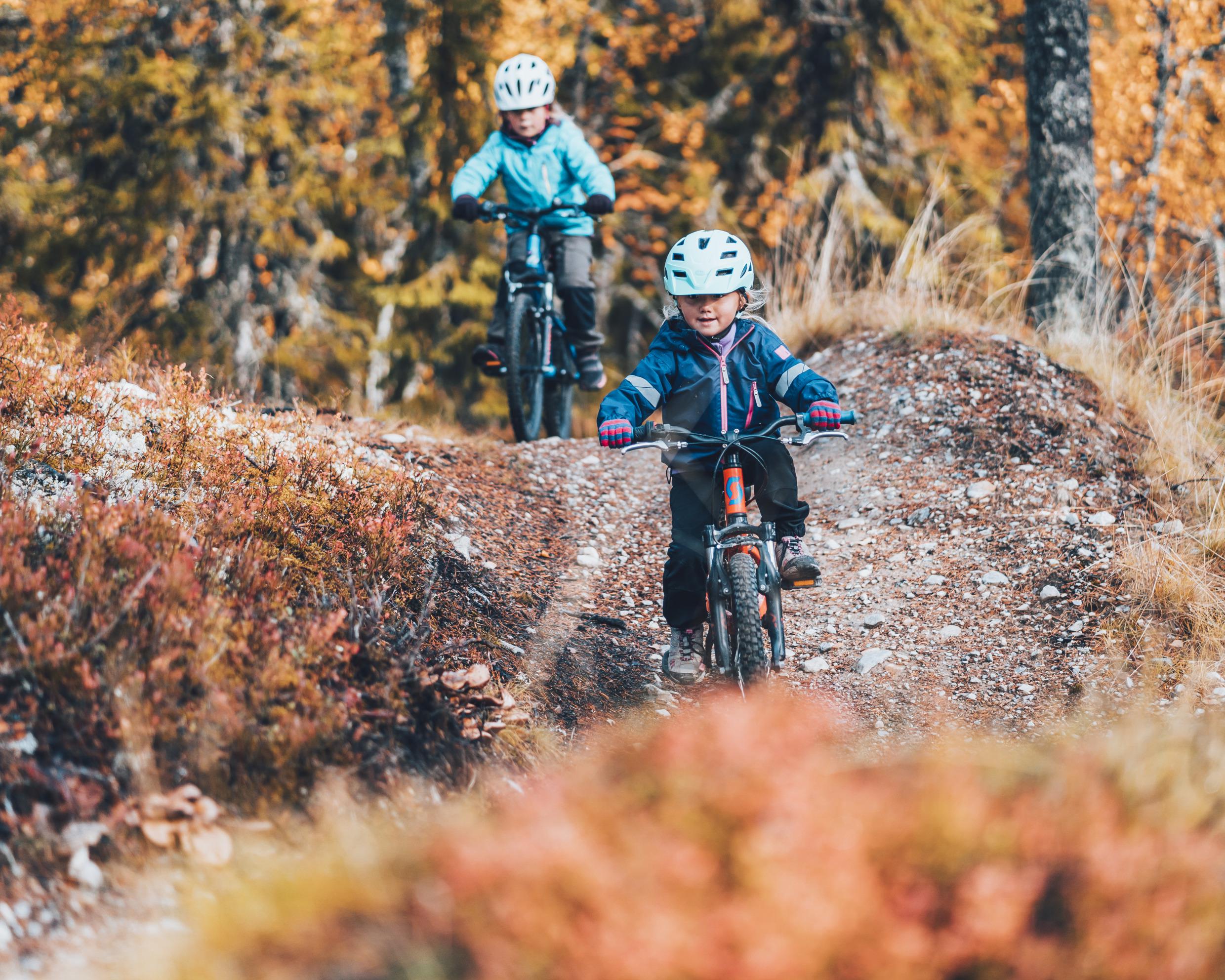 Kids mountain biking down a small hill in Idre.