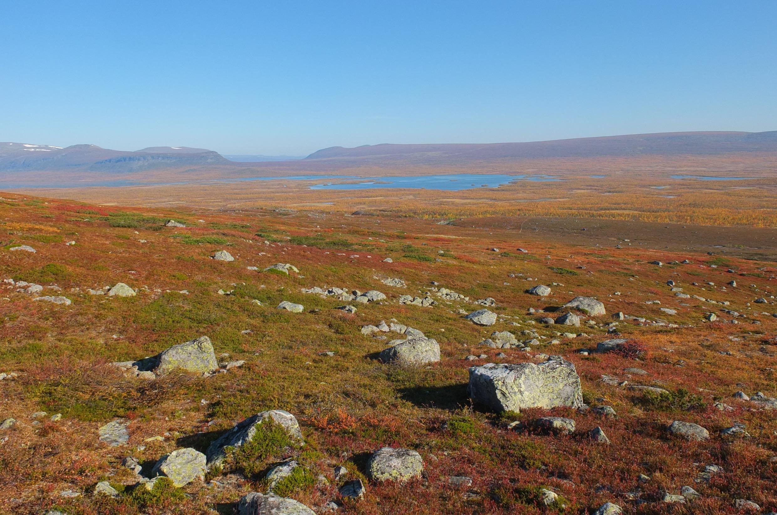 Berglandschaft in Schwedisch Lappland