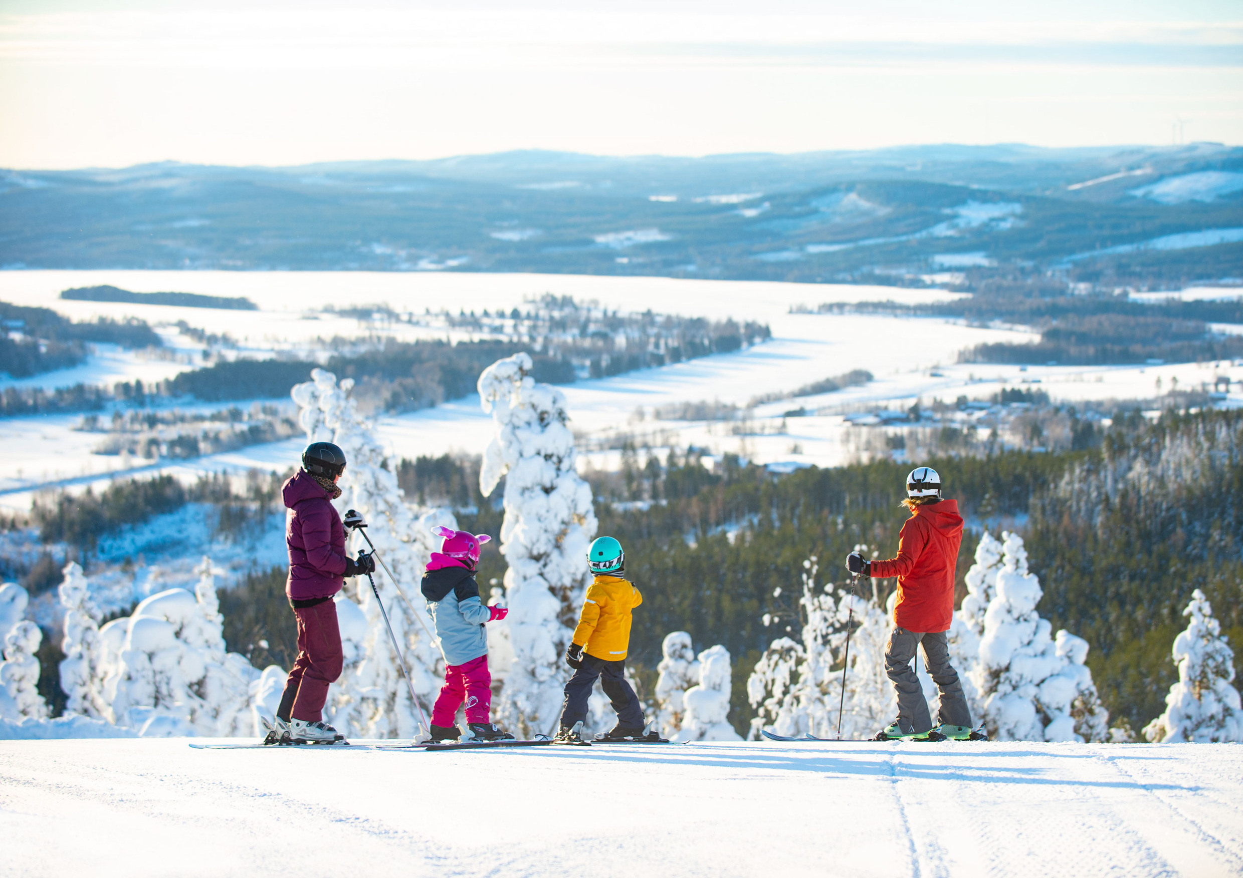 Two children and two adults dressed in skiing clothes stand on their skis at the top of a ski slope. In the background are snow-covered trees and mountains.