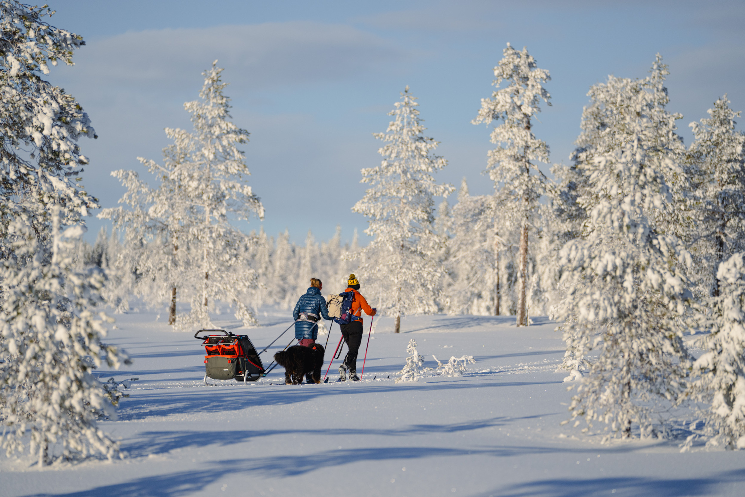 Deux personnes accompagnées d'un chien font du ski de fond dans un paysage enneigé.