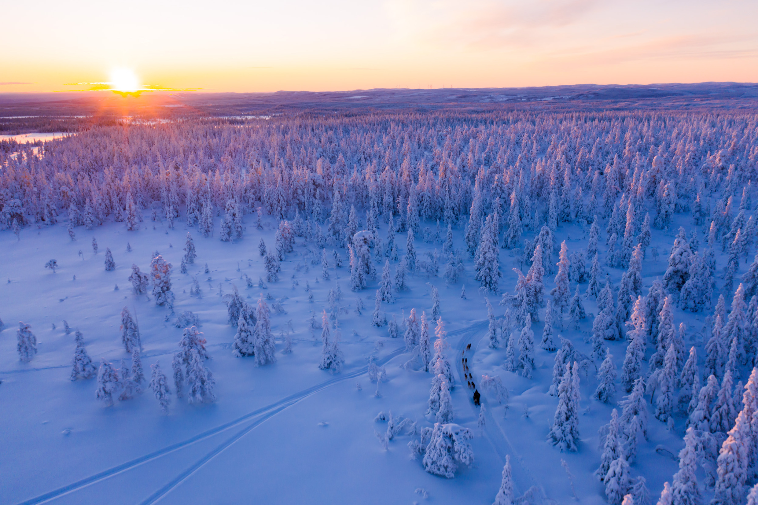 An aerial view of a dog sled going through a winter landscape.