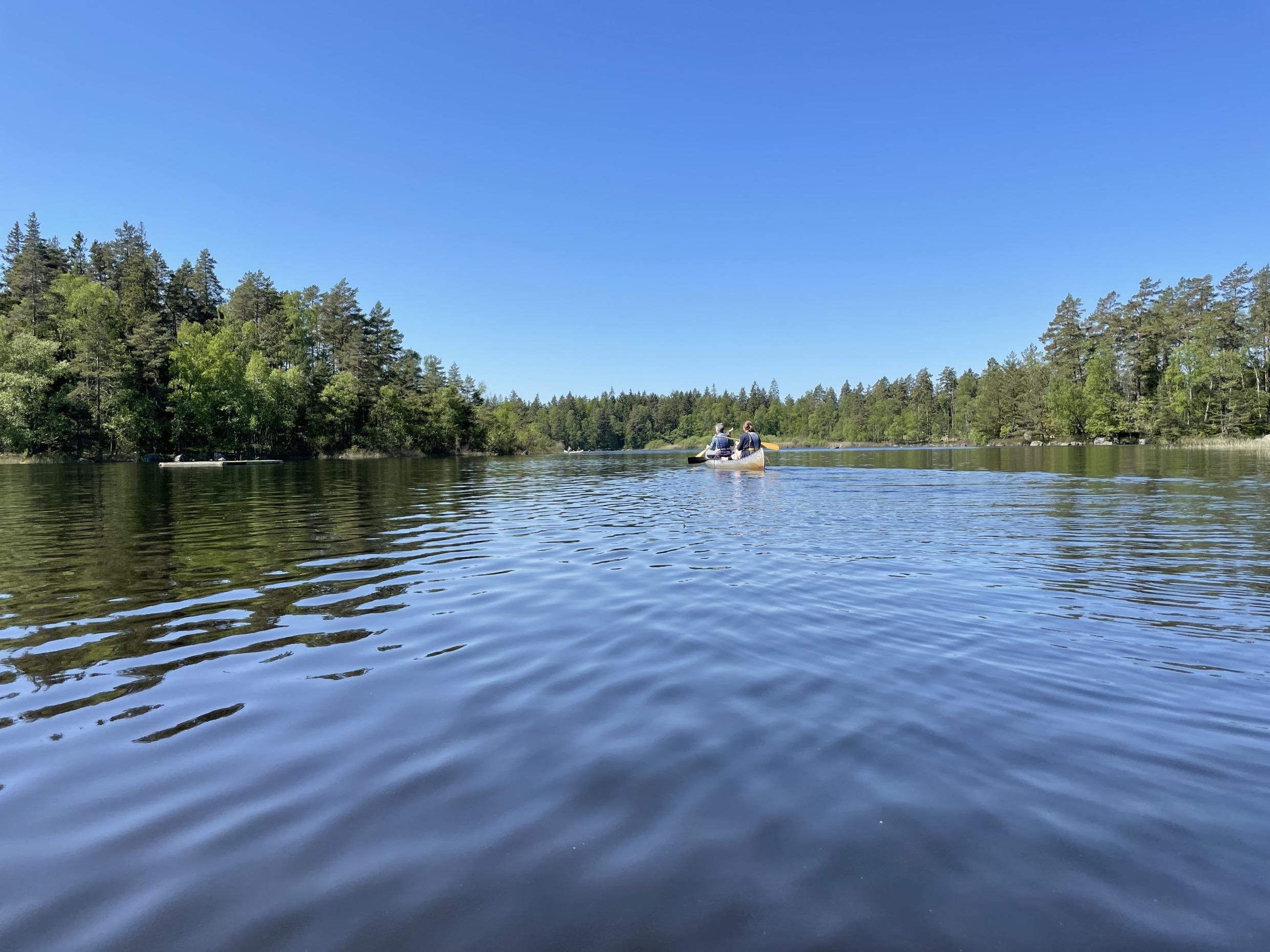Twee mensen peddelen in een kano op een meer omgeven door bomen.