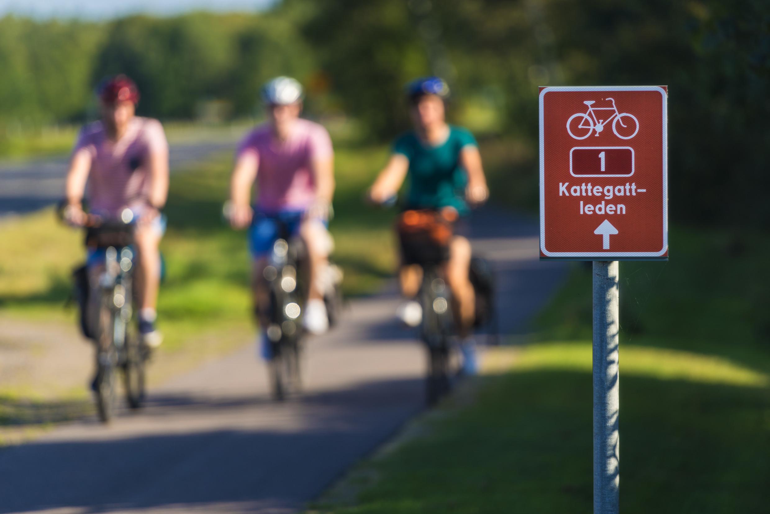 Bike route Kattegattleden