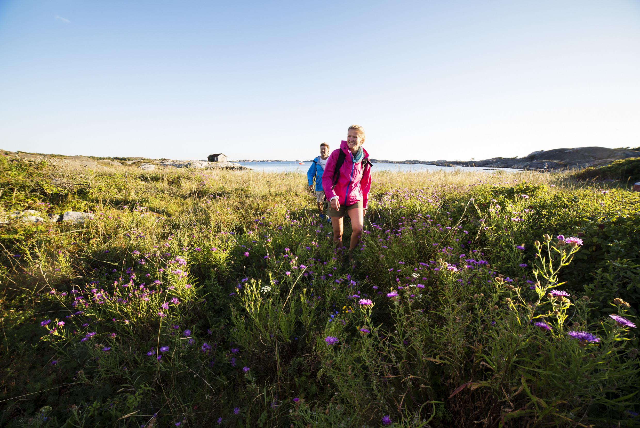 Deux personnes marchent dans un champ de fleurs, avec une maisonnette en bois et la mer en arrière-plan.