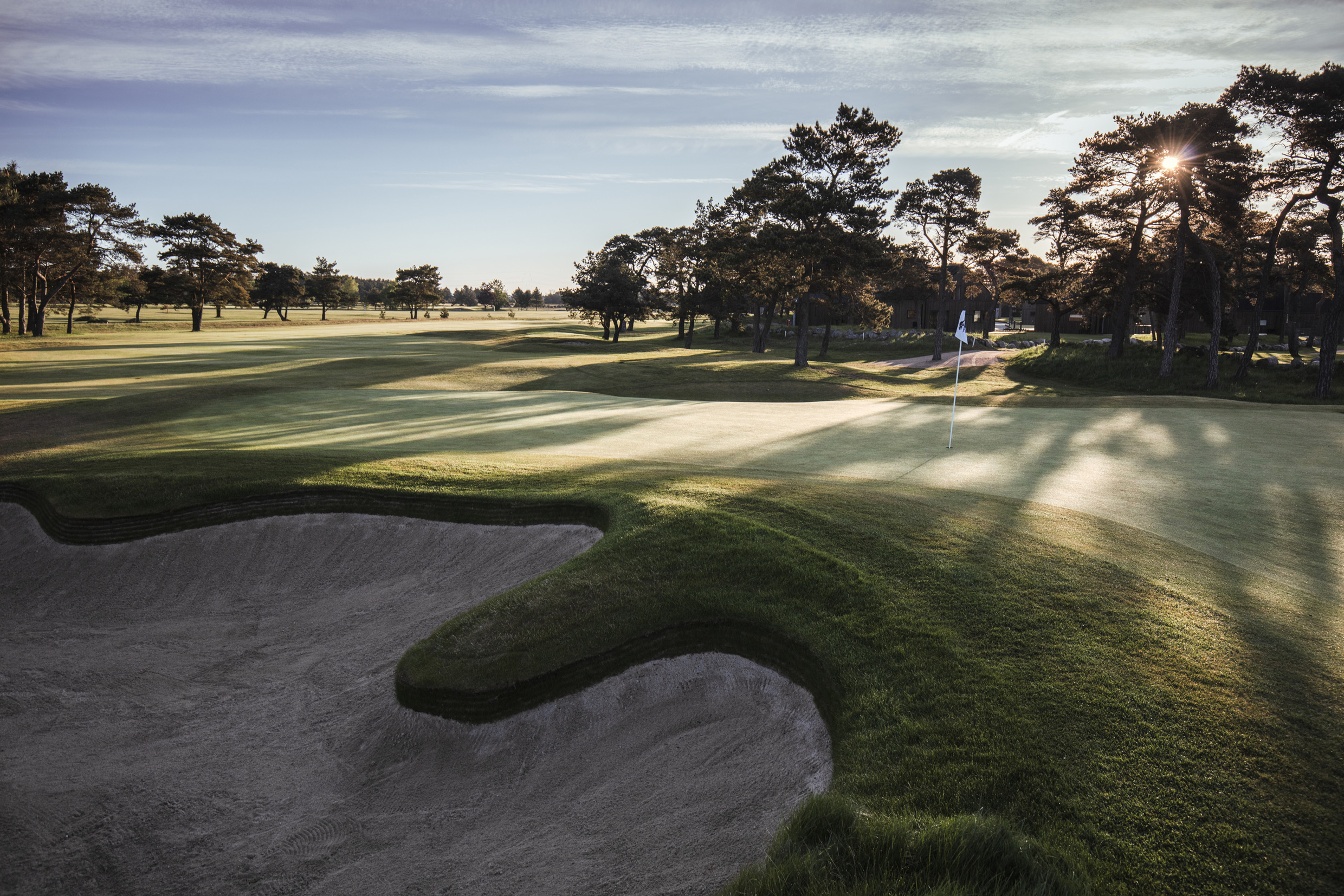 Golf course in Kristianstad in sunshine with a view over bunkers, fairways, and greens surrounded by trees.