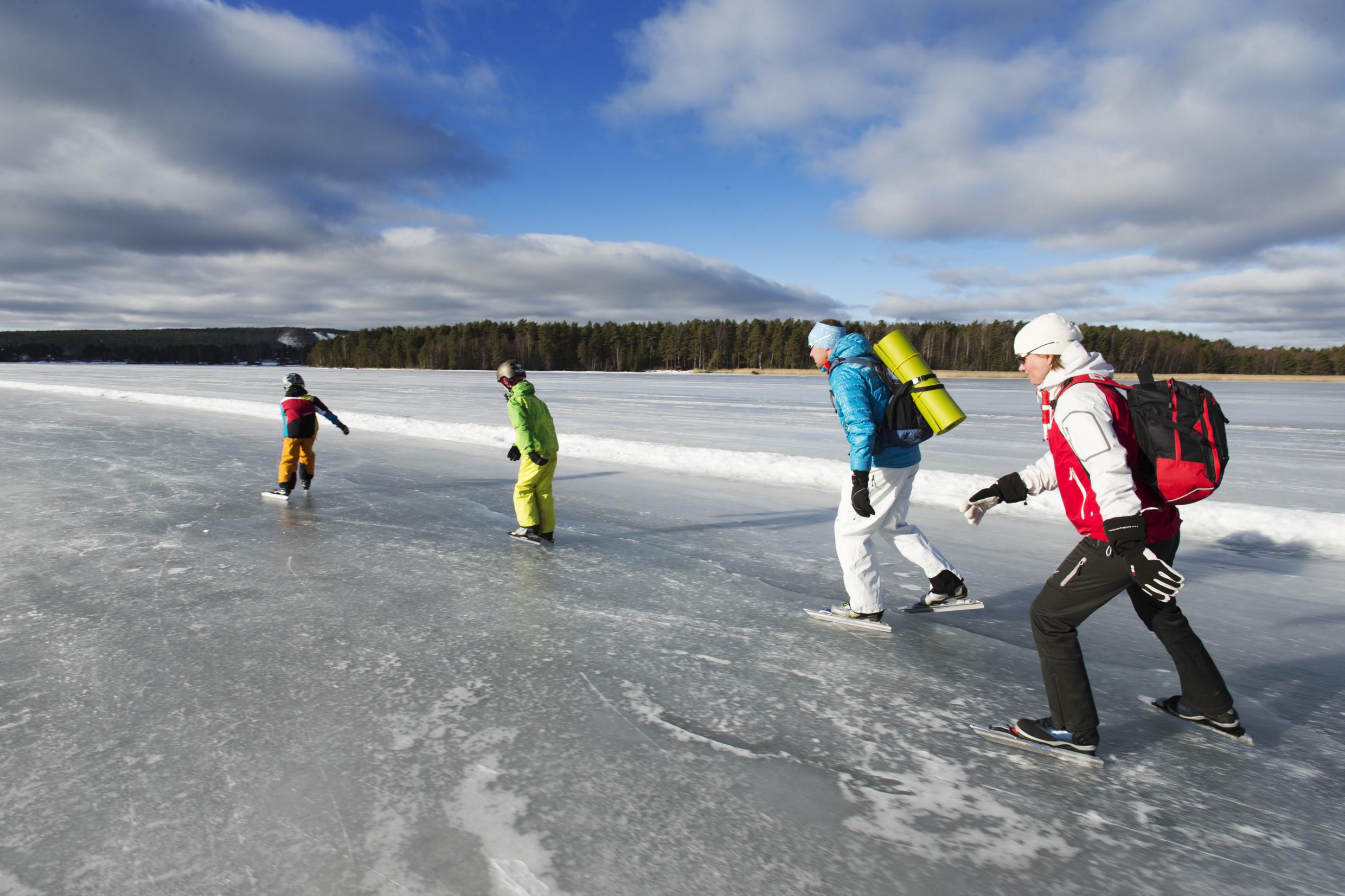 Langdistanseskøyter
