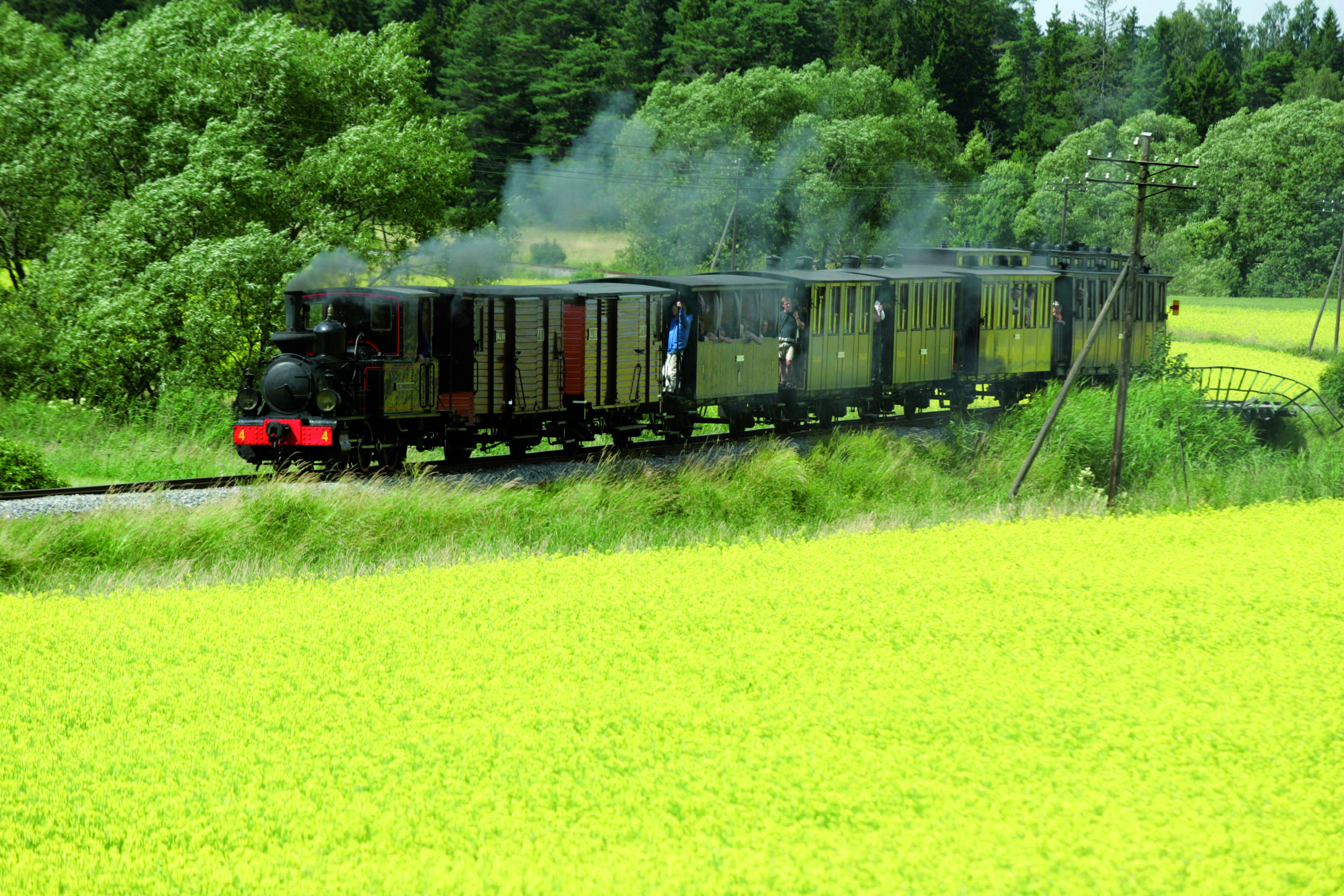 Le train Lennakatten voyageant entre les prairies jaunes.