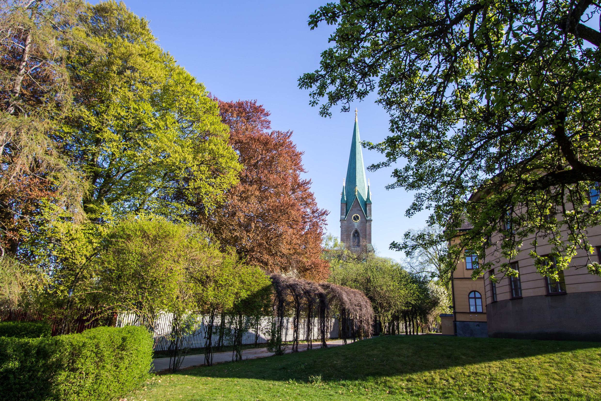 De top van een kathedraal is zichtbaar achter bomen en enkele huizen.