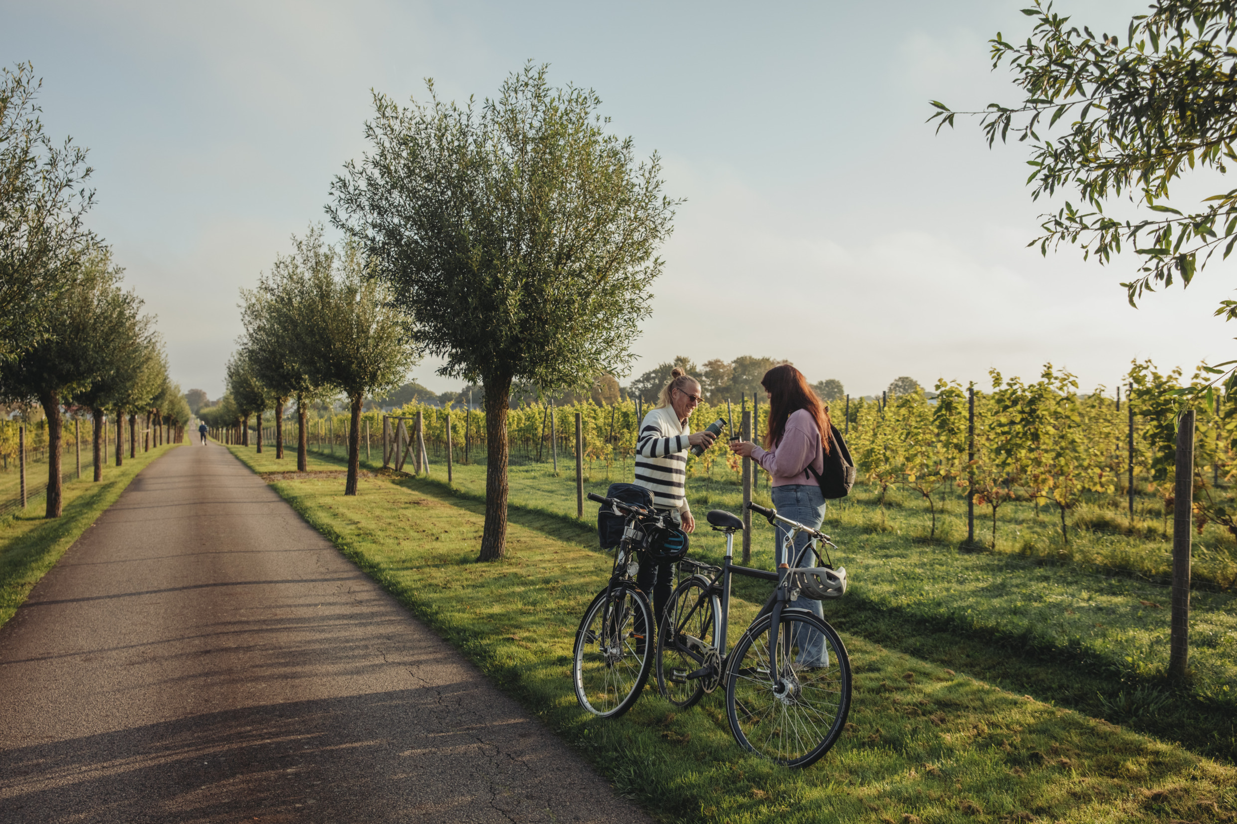 Two cyclists taking a break among vineyard rows along a scenic cycling route near Helsingborg.