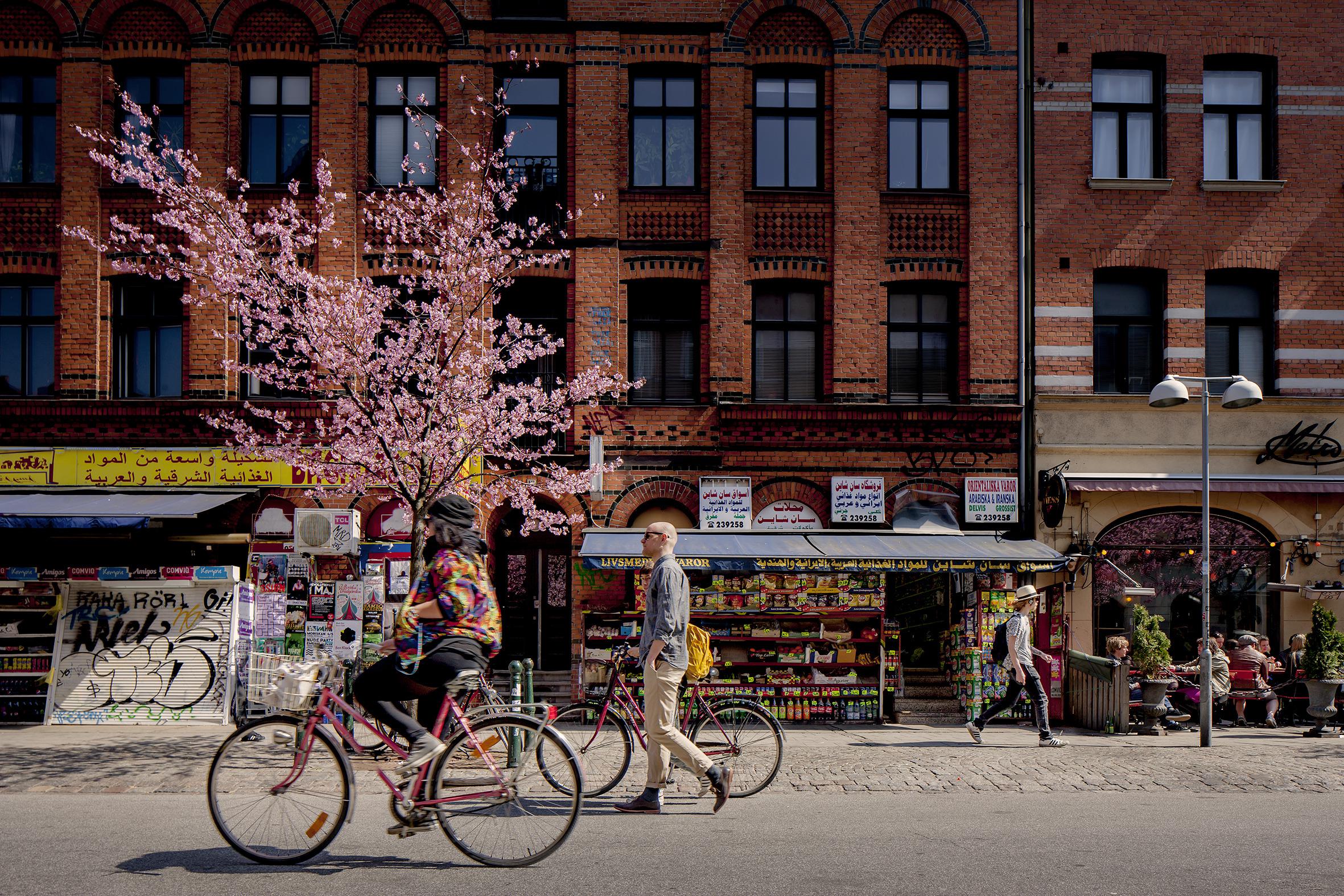 Möllevången à Malmö en Scanie