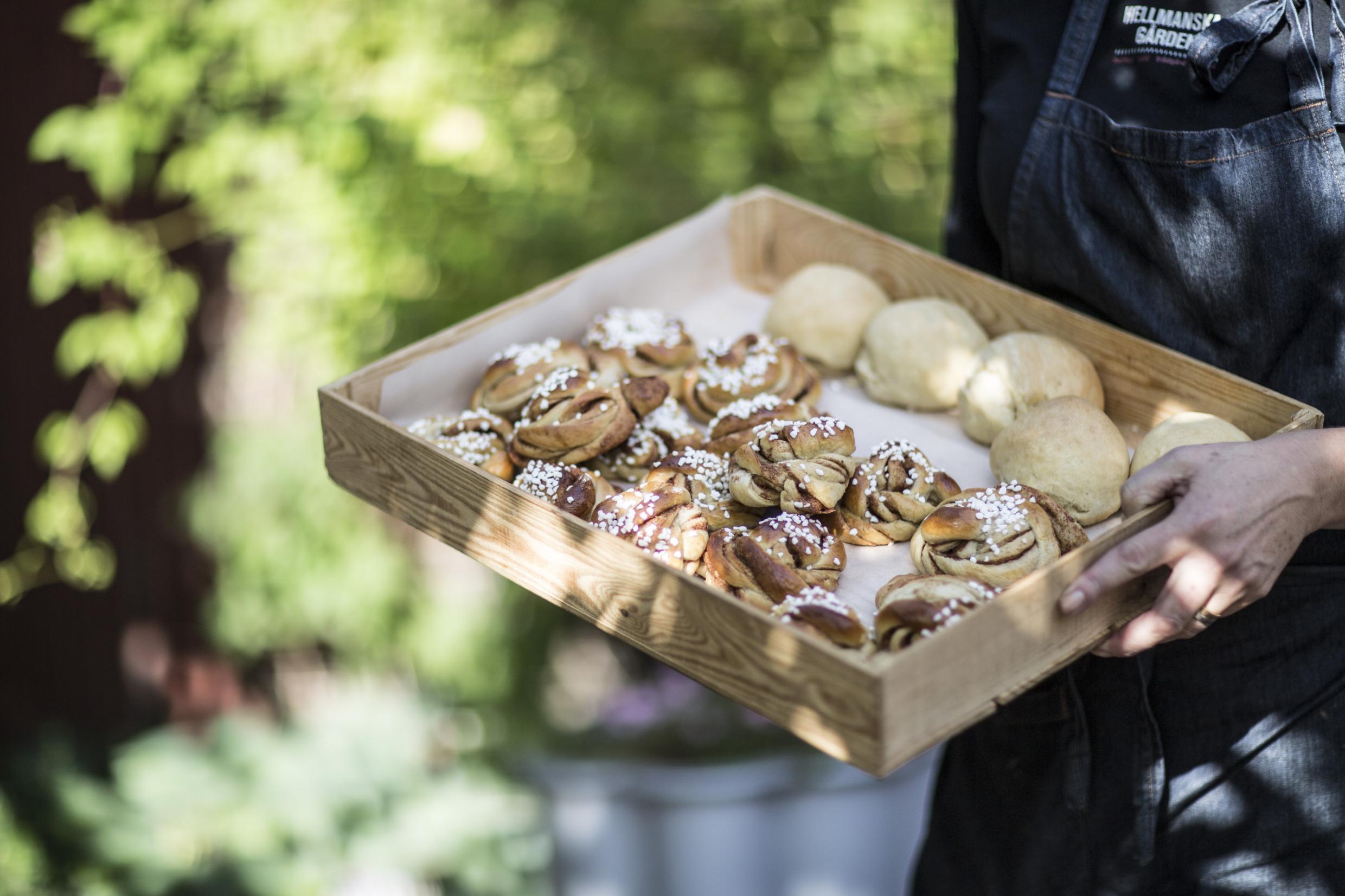 Freshly baked cinnamon buns