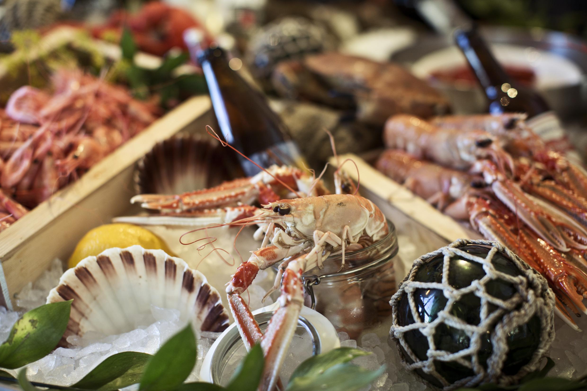 Seafood in trays and glass jars on ice, decorated with lemon, green leaves and shells.